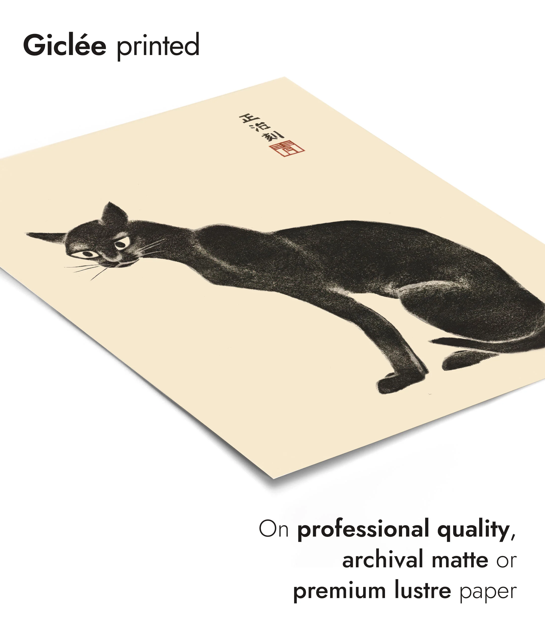 Cat - Image 6