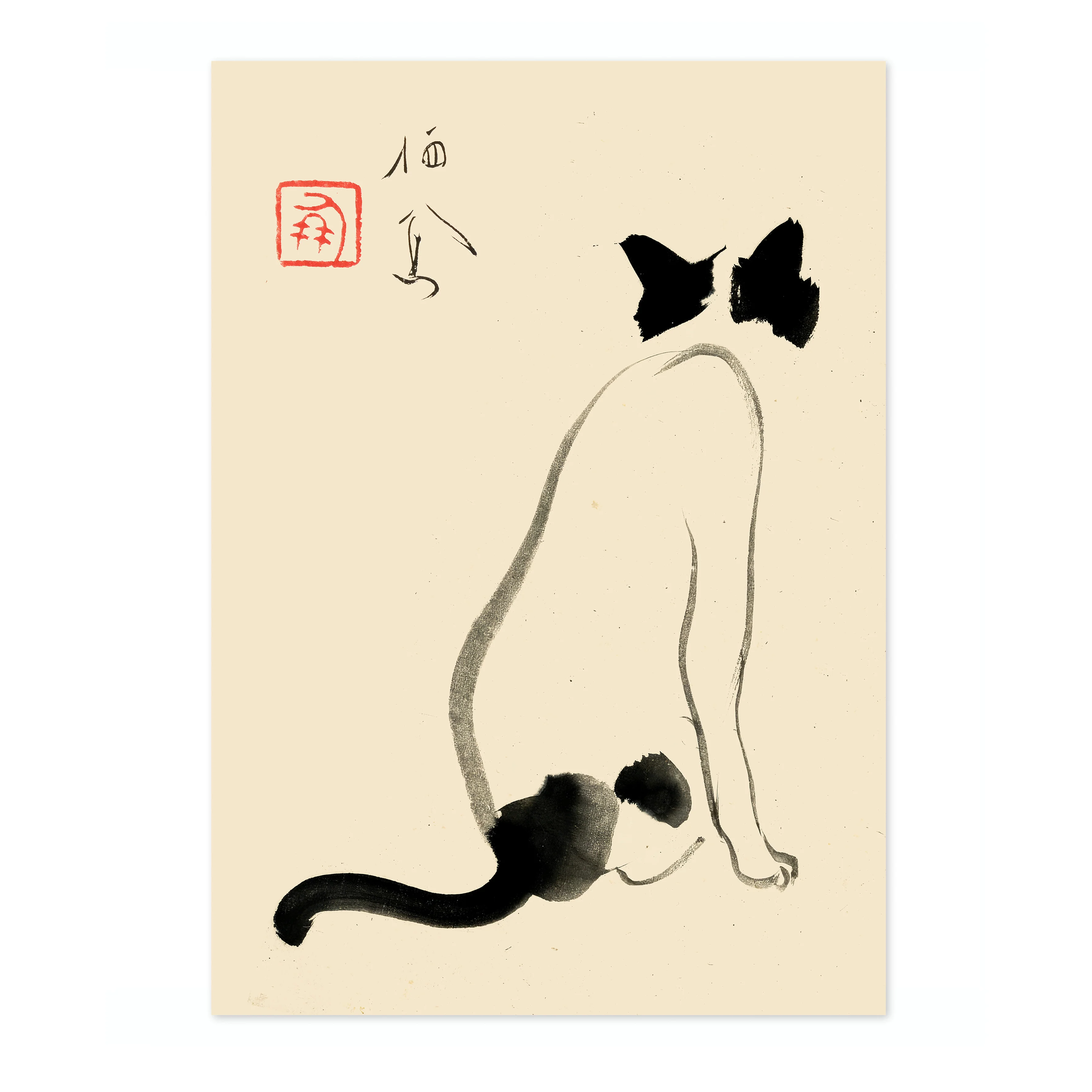 Cat - Image 4