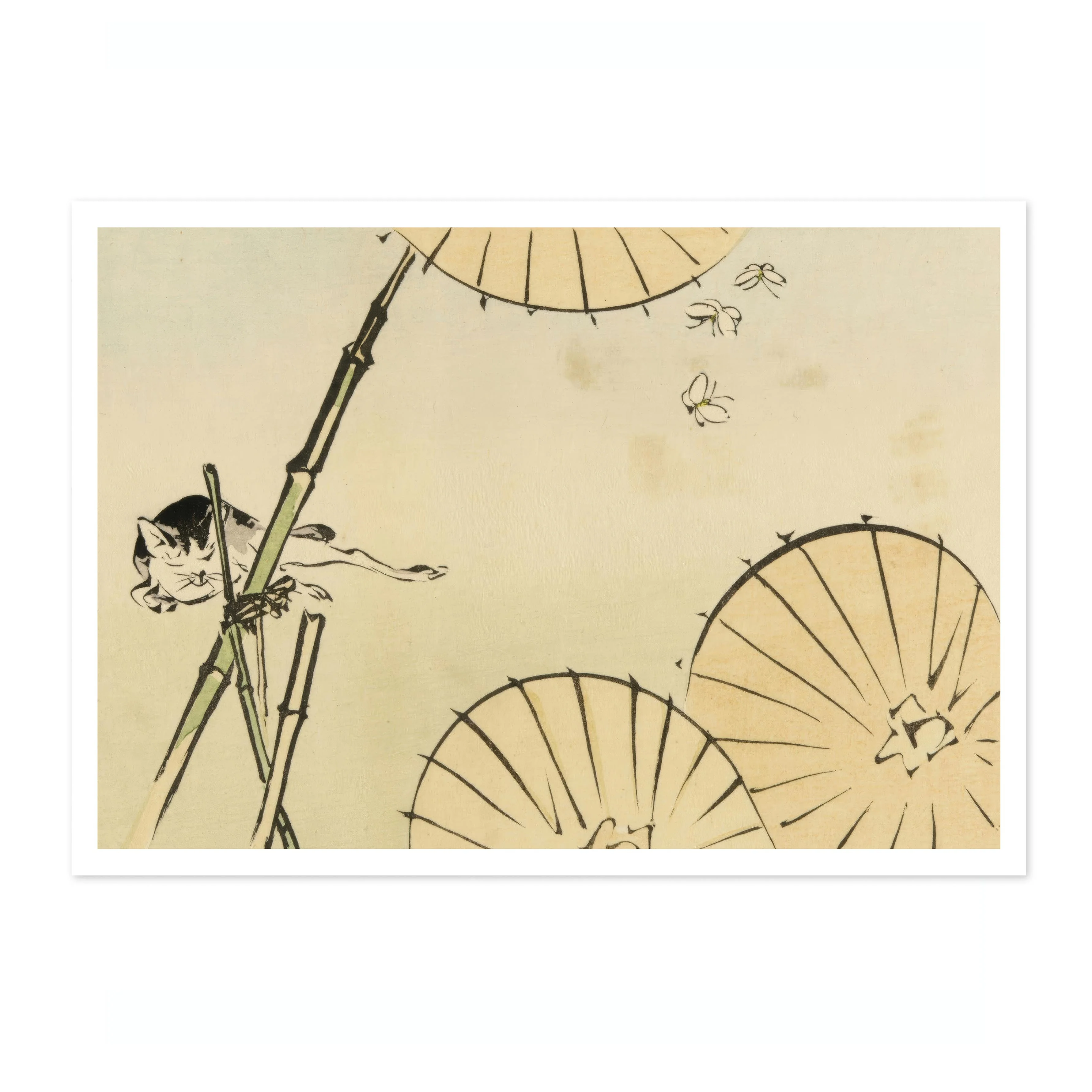 Cat, Umbrellas & Butterflies - Image 4