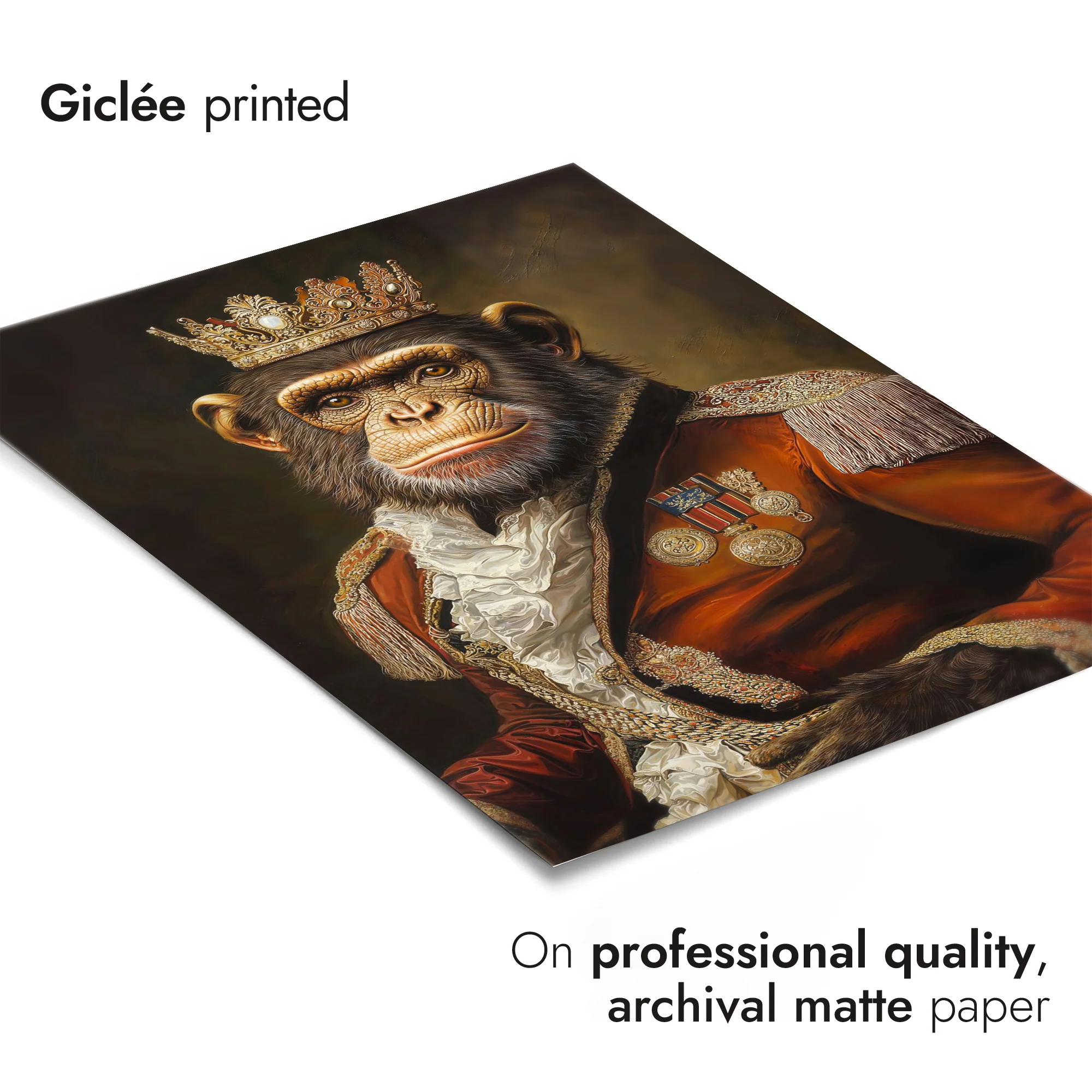 Chimp - Image 6
