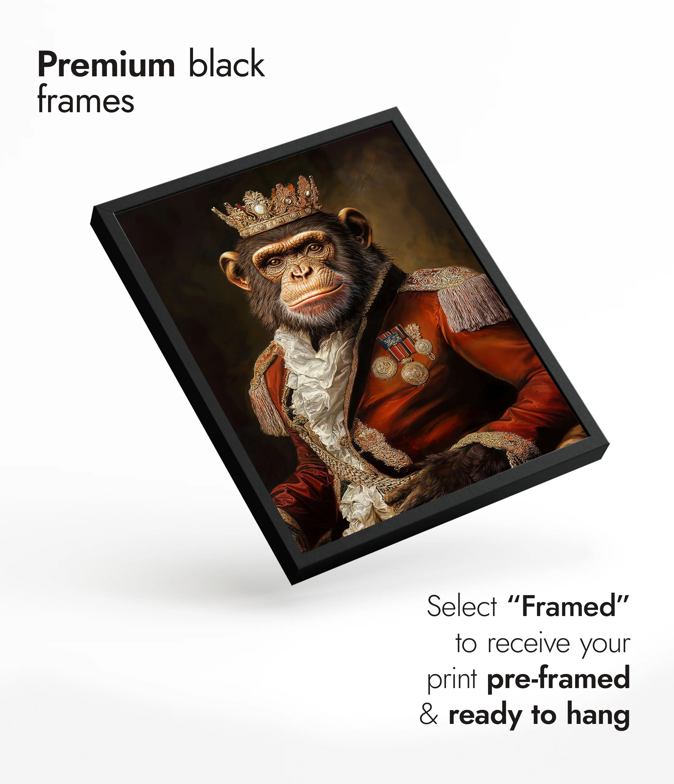 Chimp - Image 7