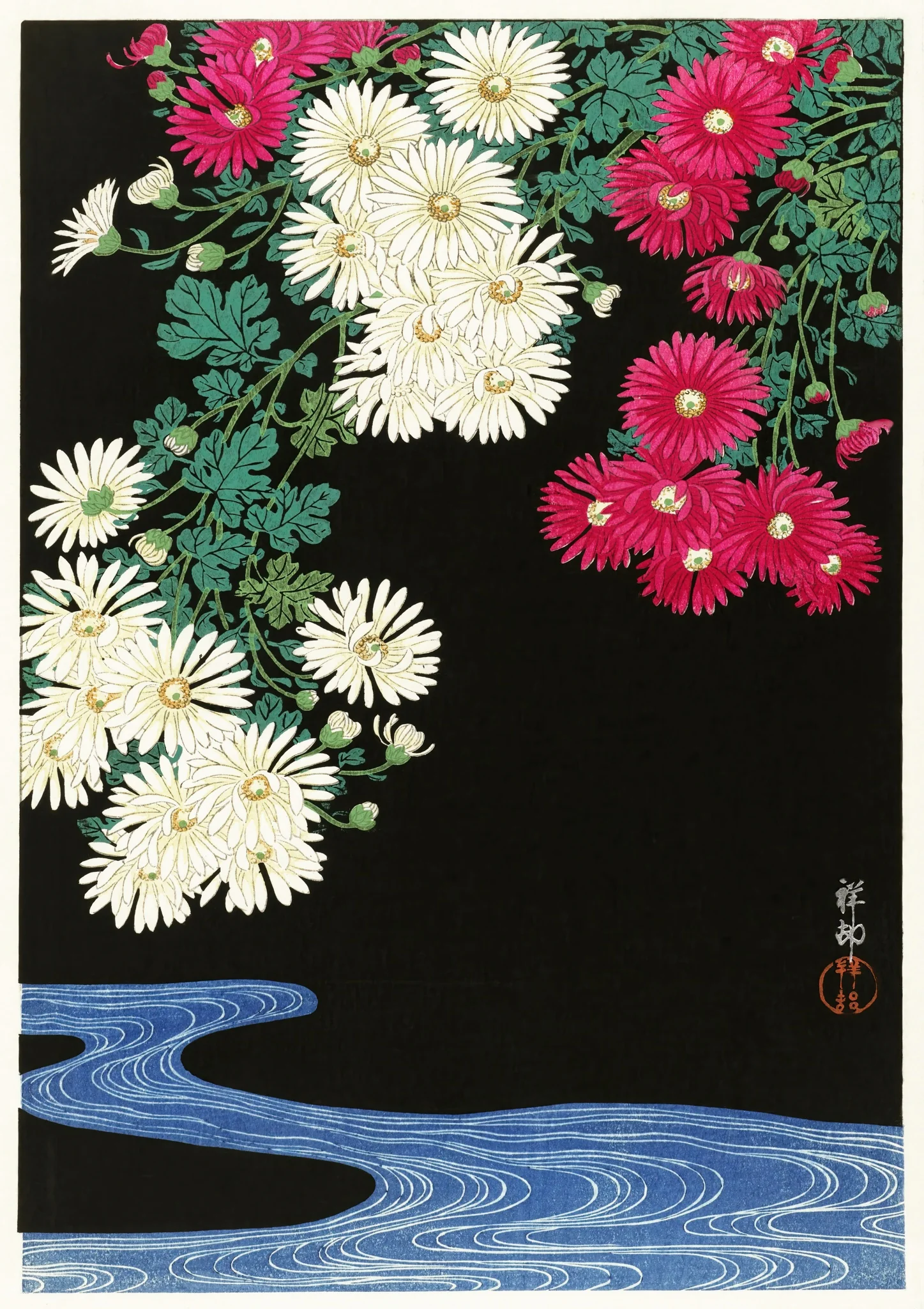 Chrysanthemums