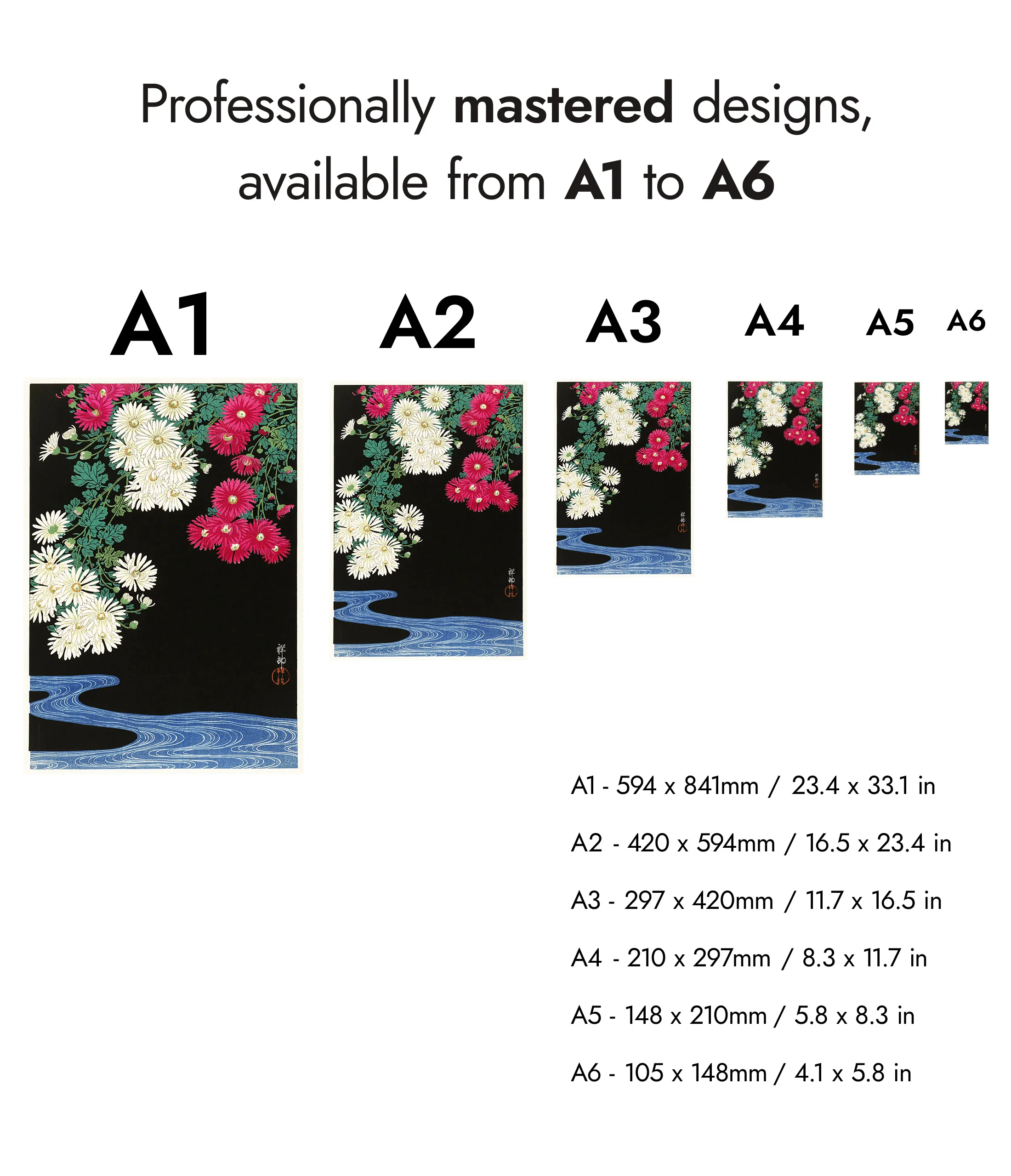 Chrysanthemums - Image 8