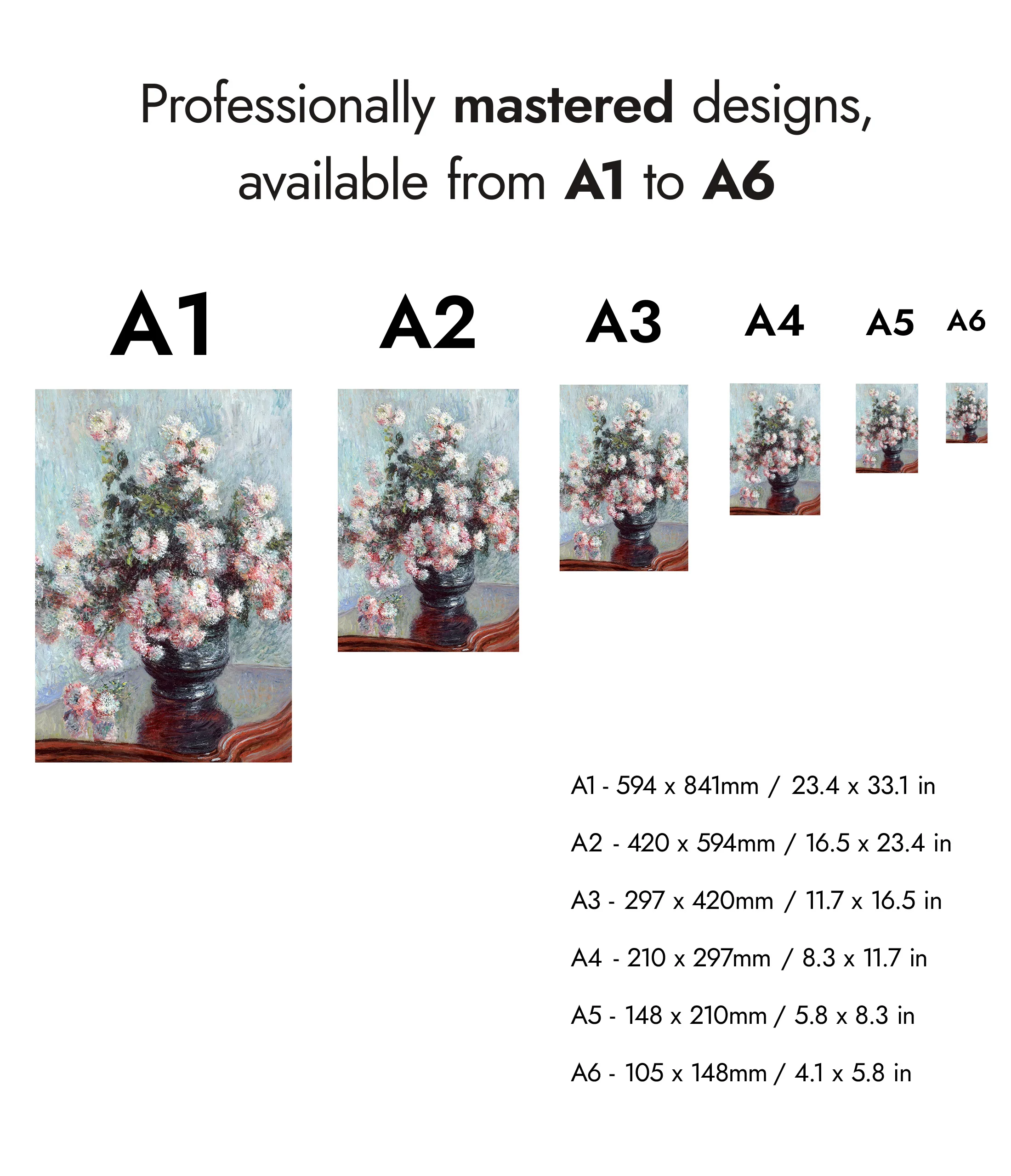 Chrysanthemums - Image 8