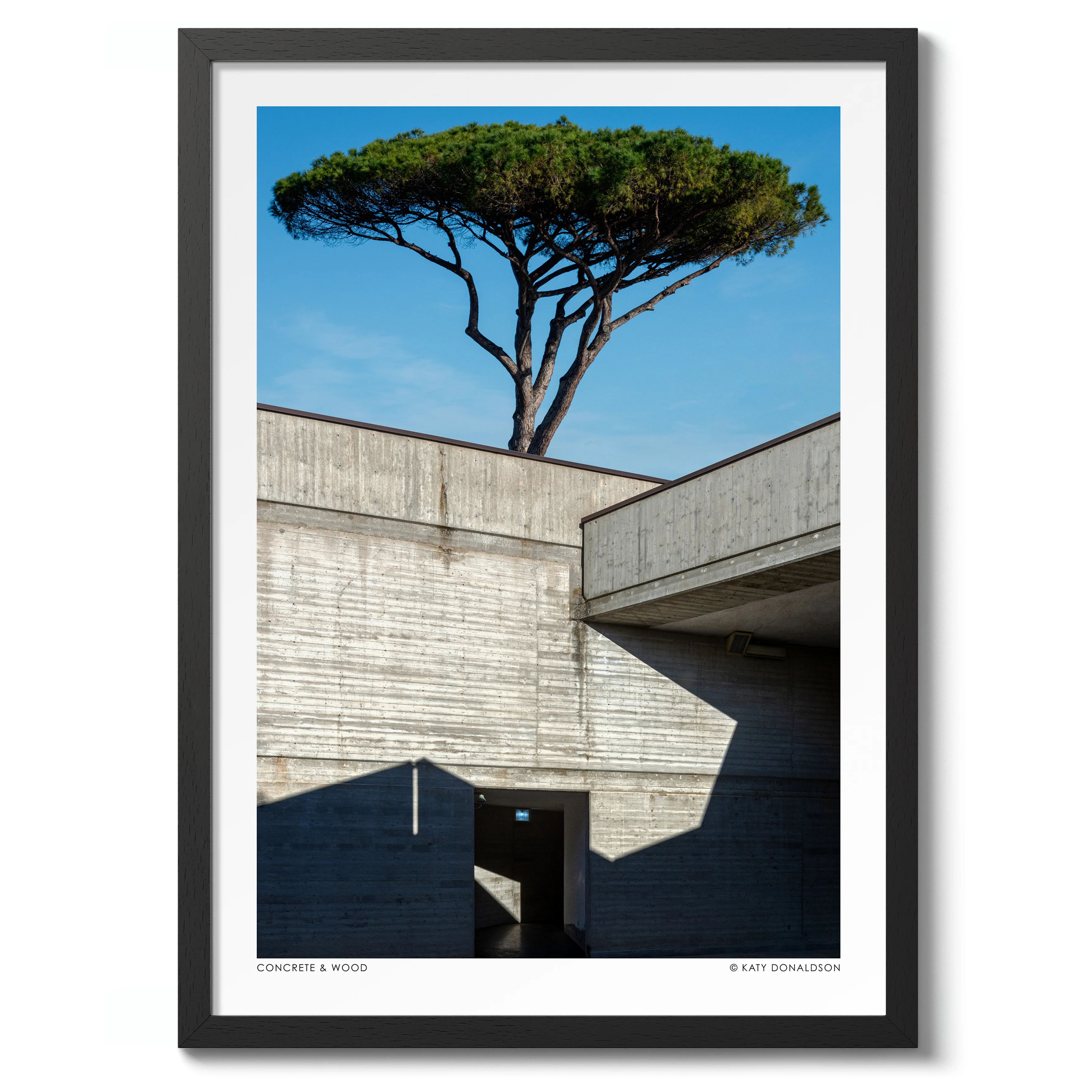 Concrete & Wood - Image 2