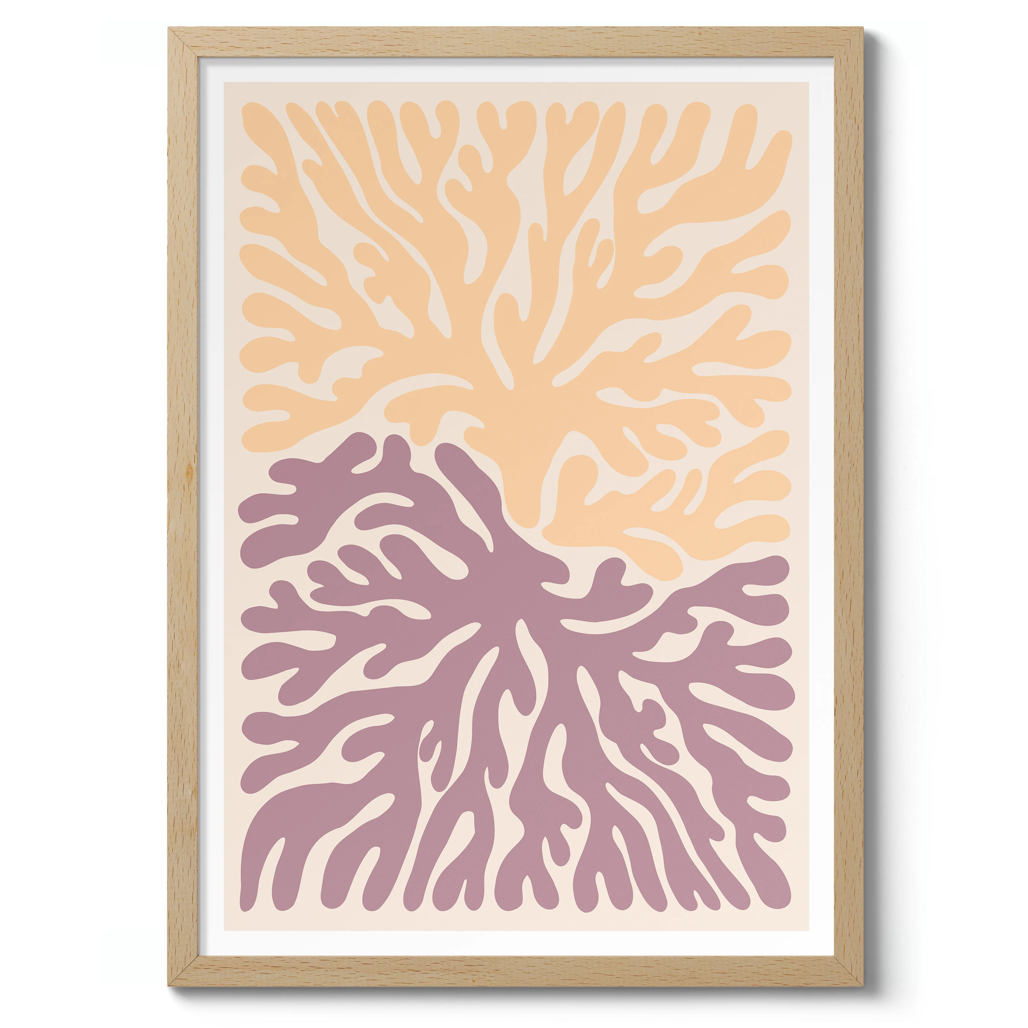 Coral - Image 3