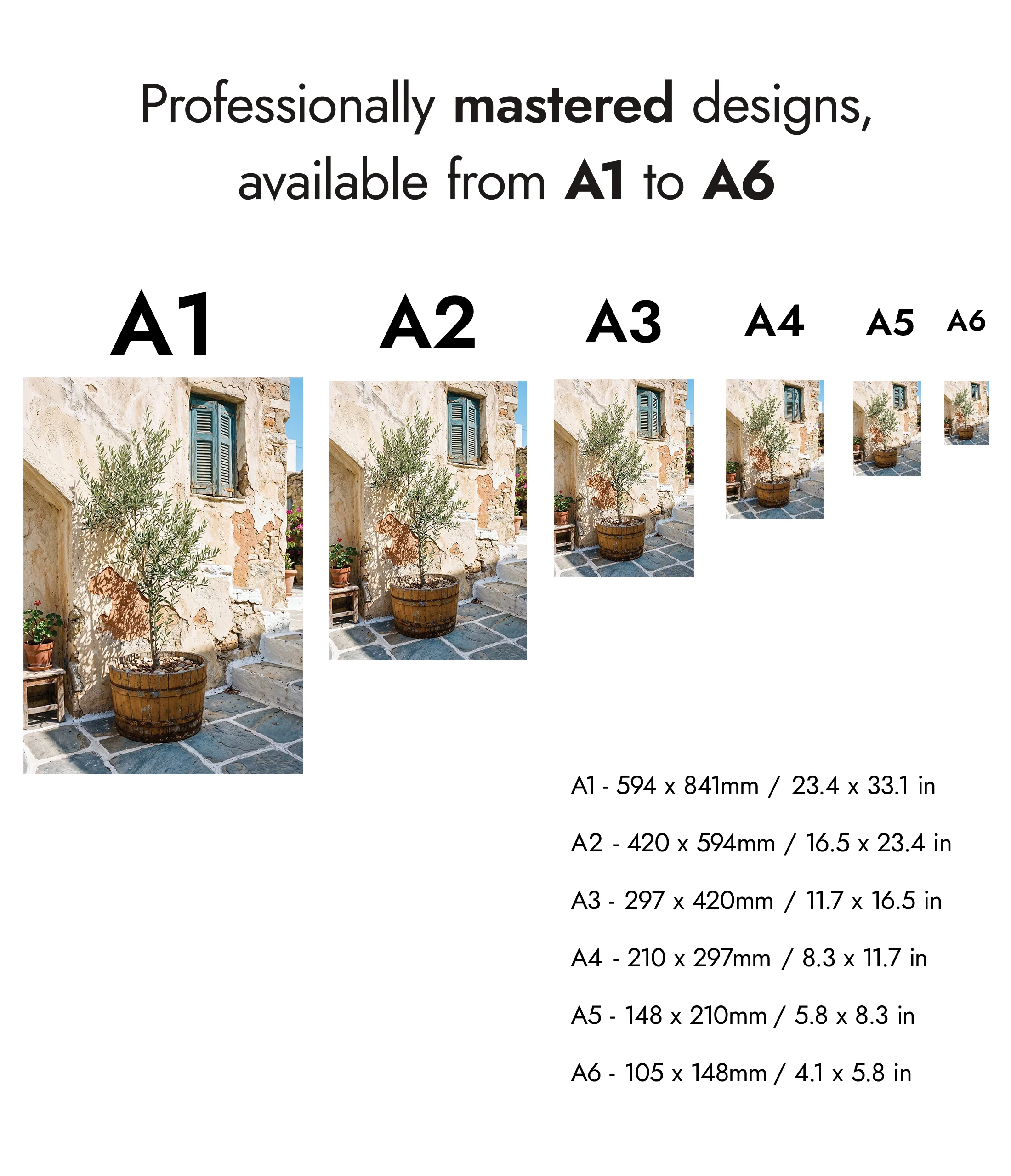Courtyard Olives - Image 8
