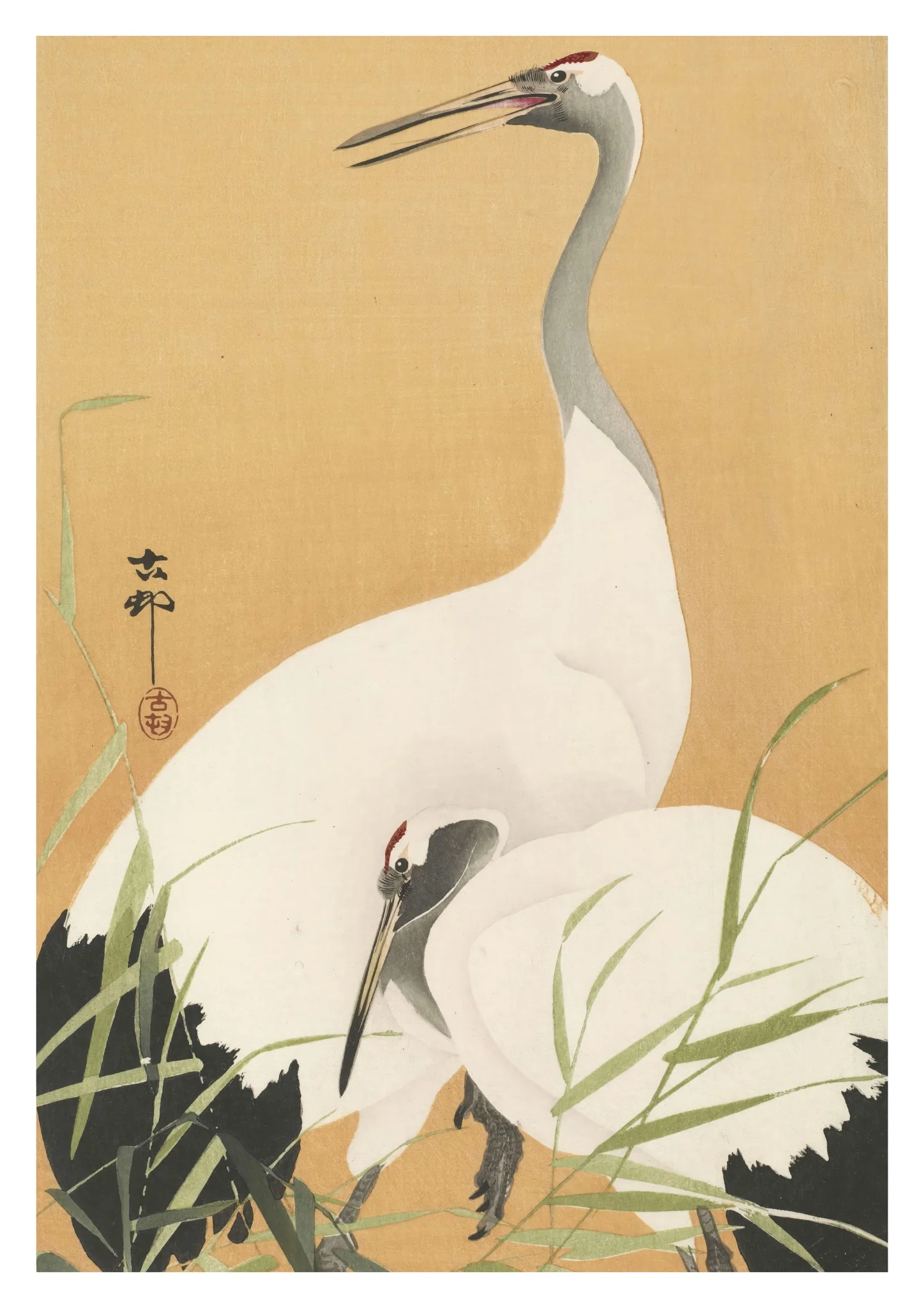 Cranes