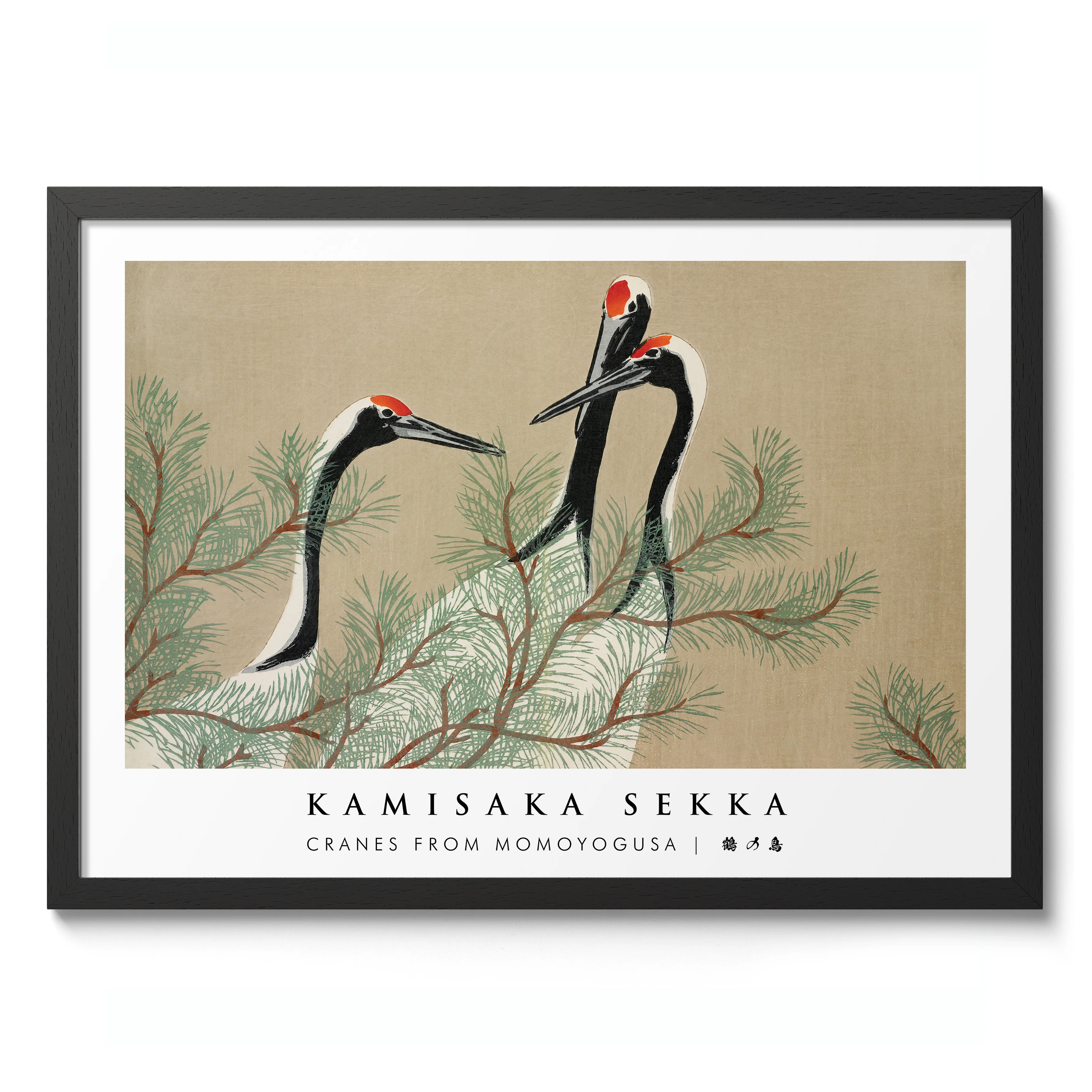 Cranes from Momoyogusa - Image 2