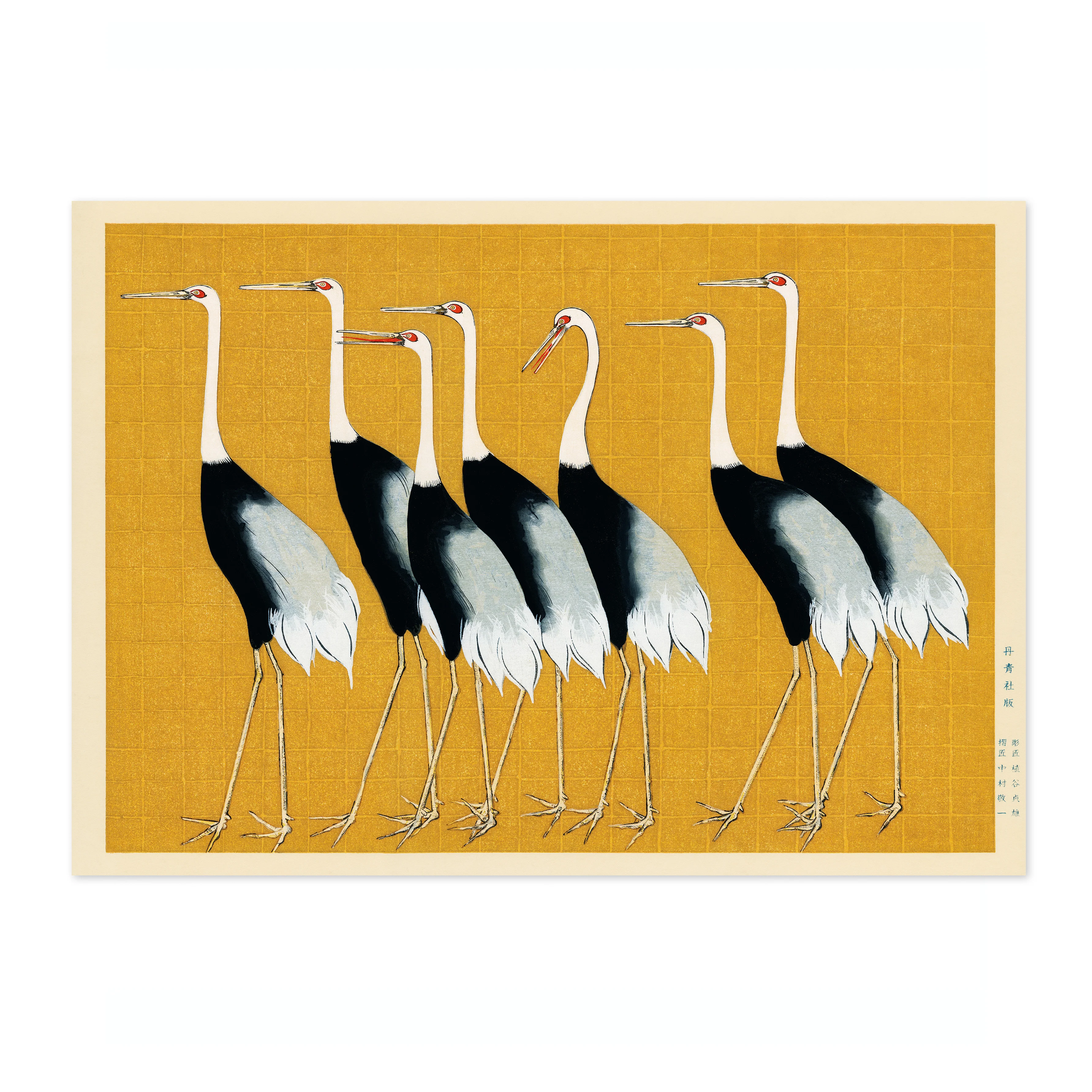 Cranes - Image 4