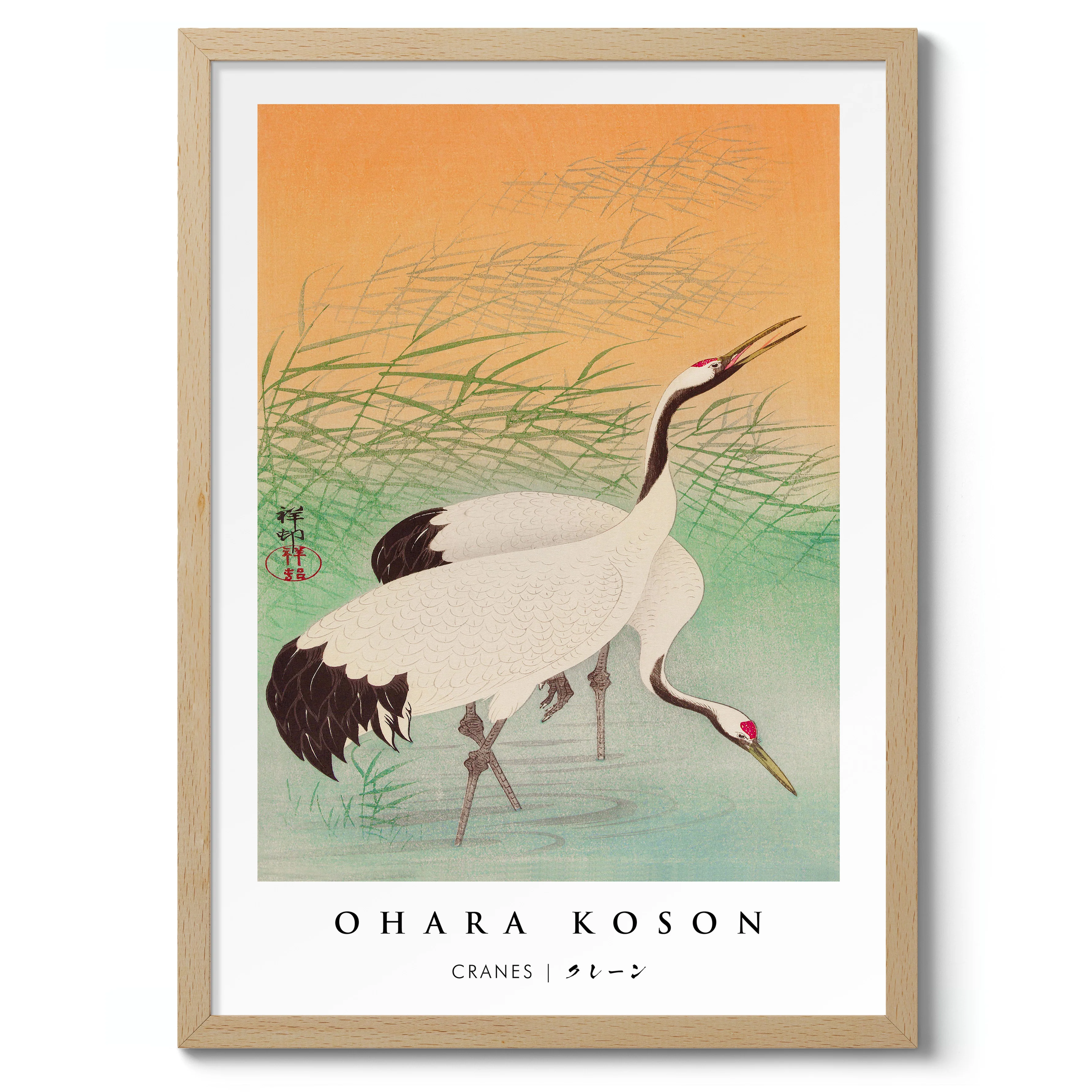 Cranes - Image 3