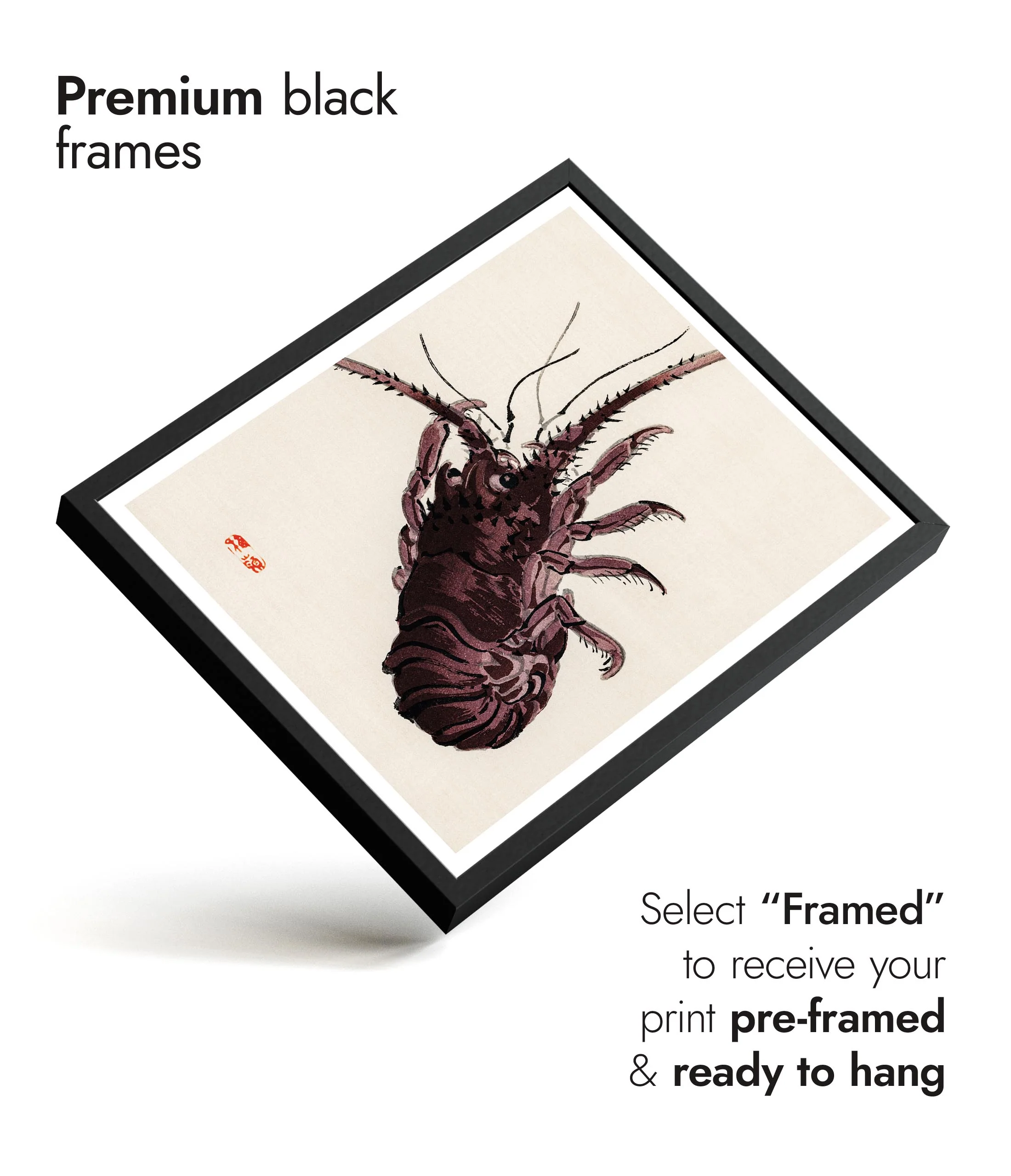 Crayfish - Image 7