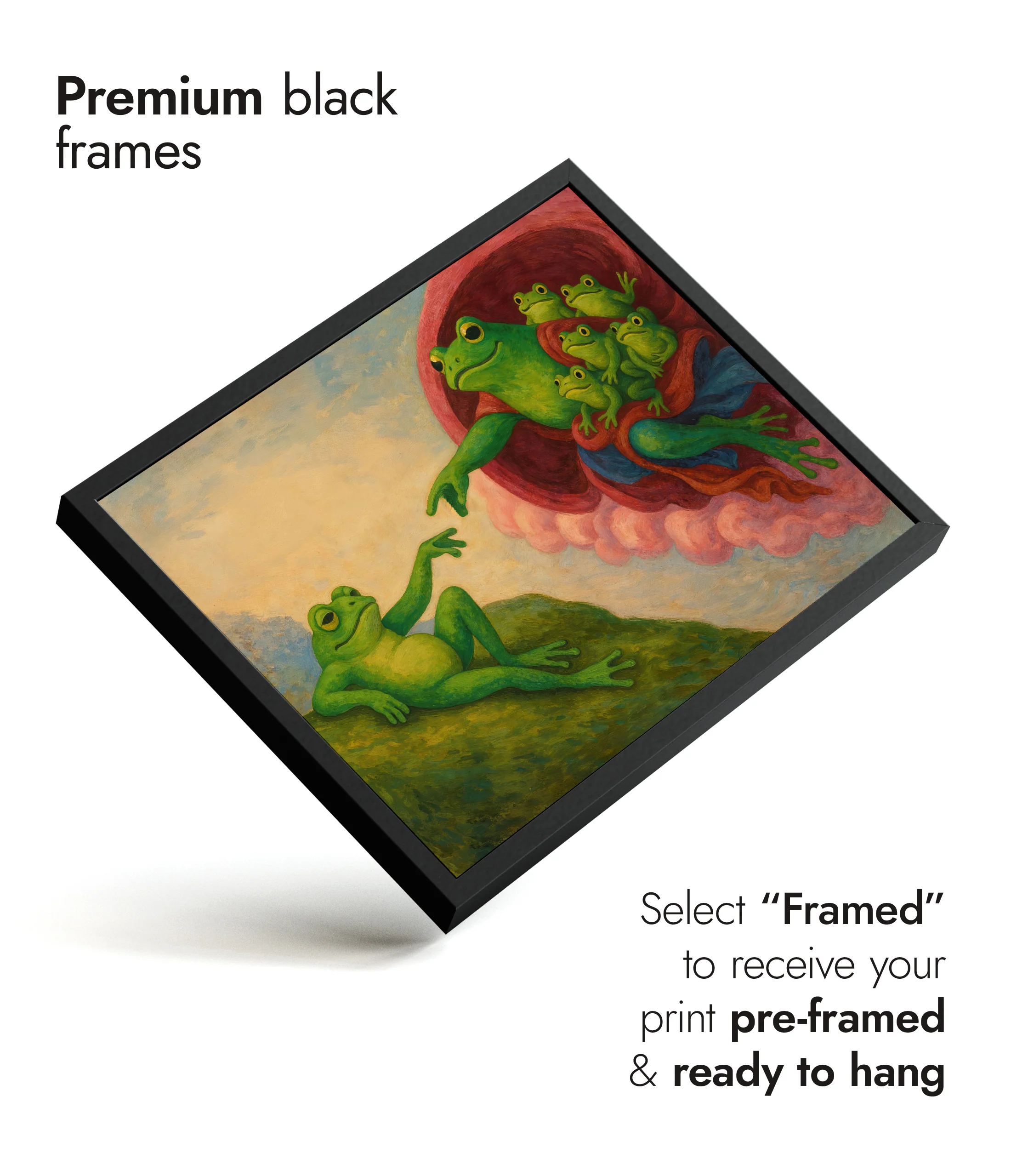 Creation of Frog - Image 7