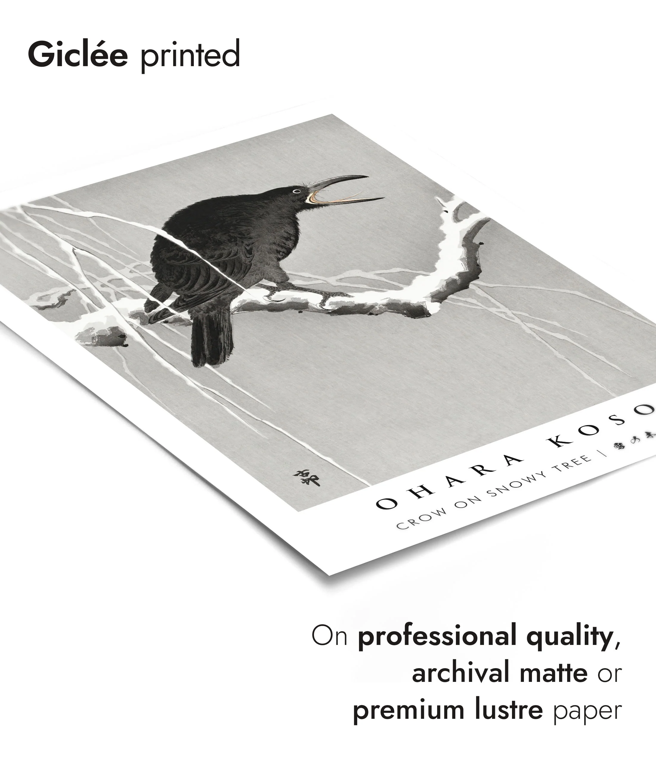 Crow on Snowy Tree - Image 6