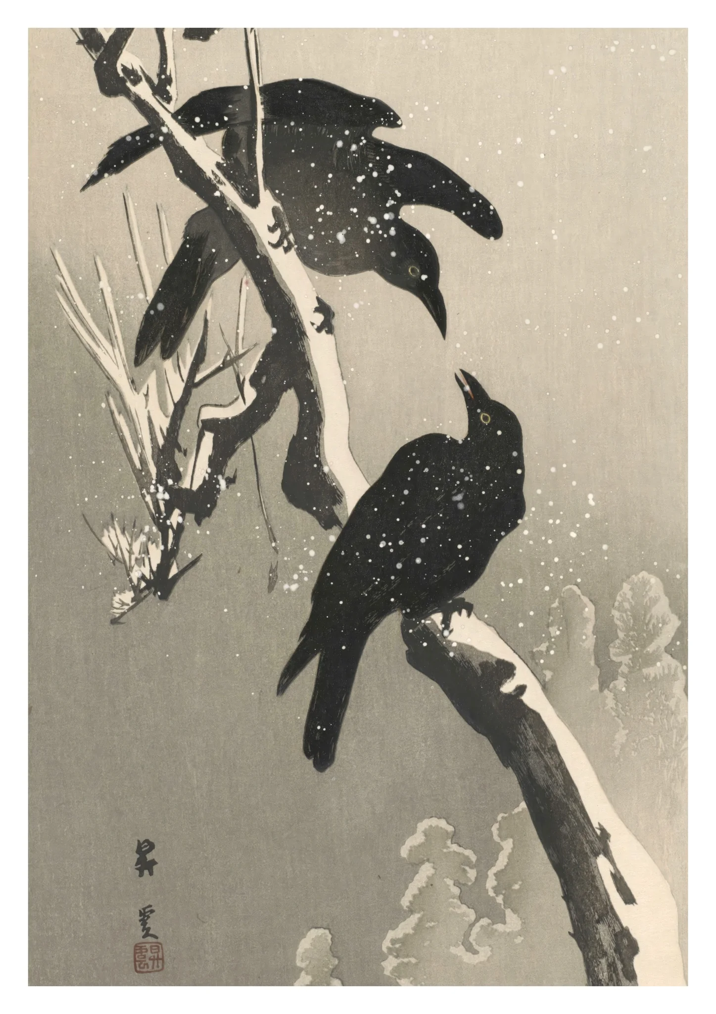 Crows