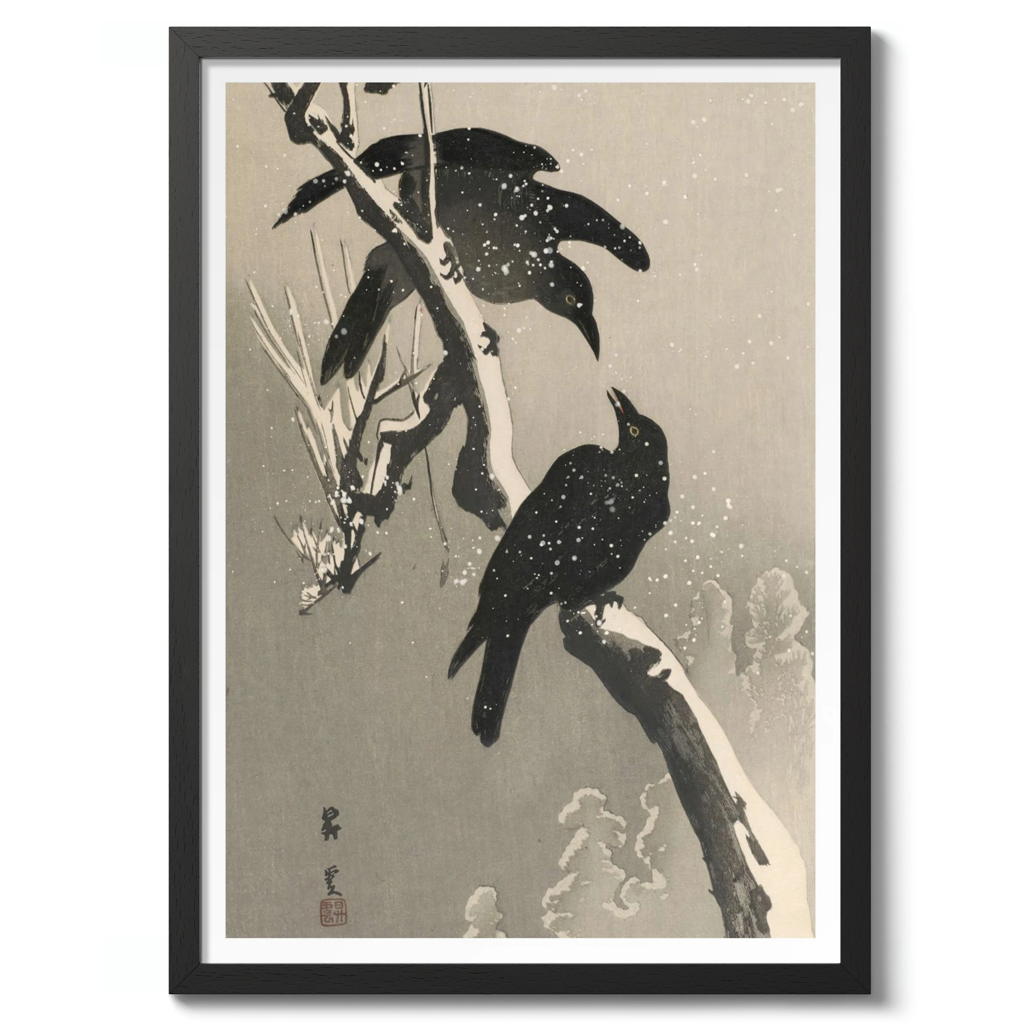 Crows - Image 2