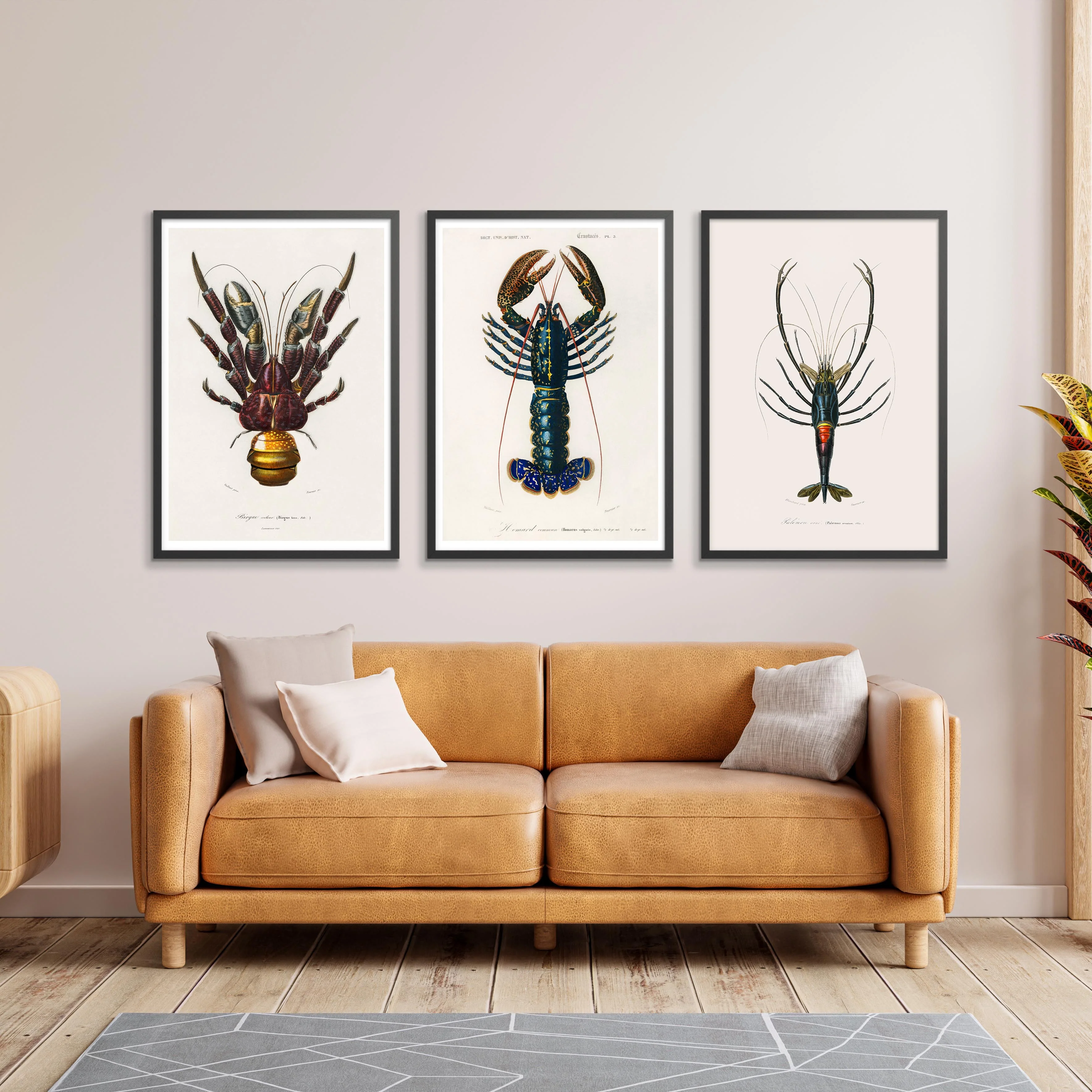 Crustaceans Triple - Image 4