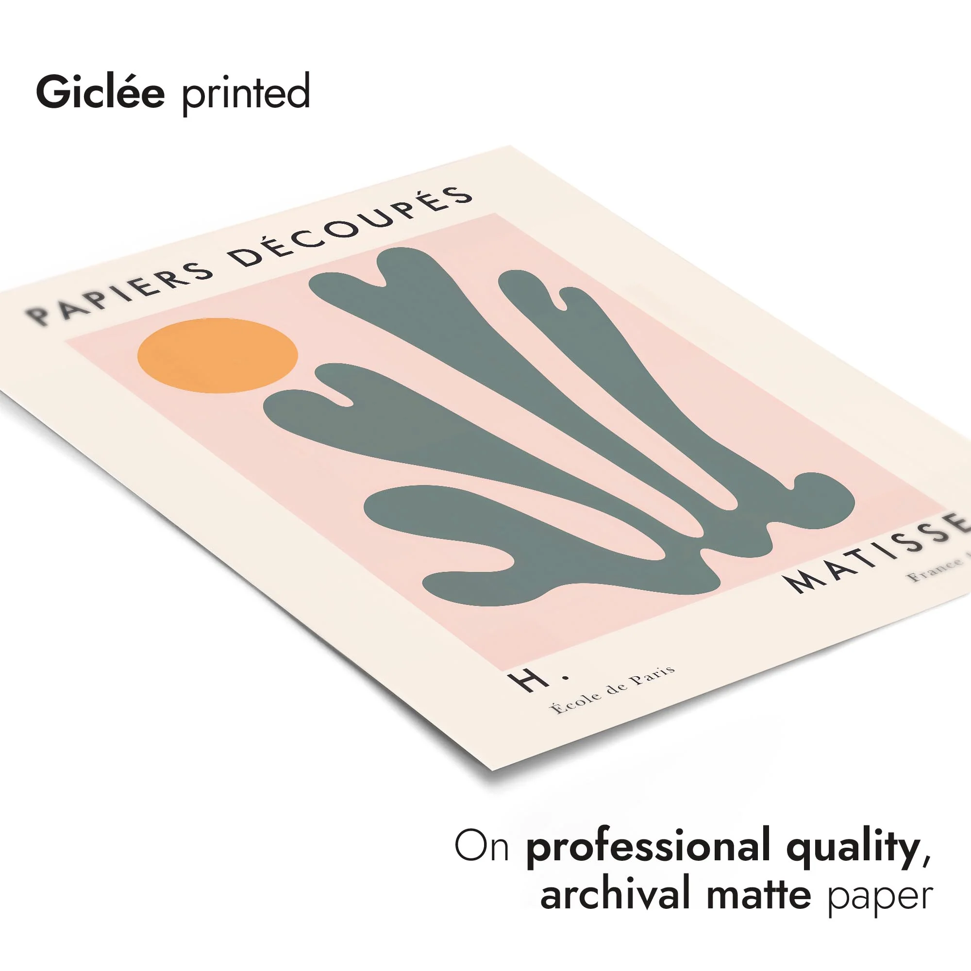 Cut-Outs Collection - Image 5