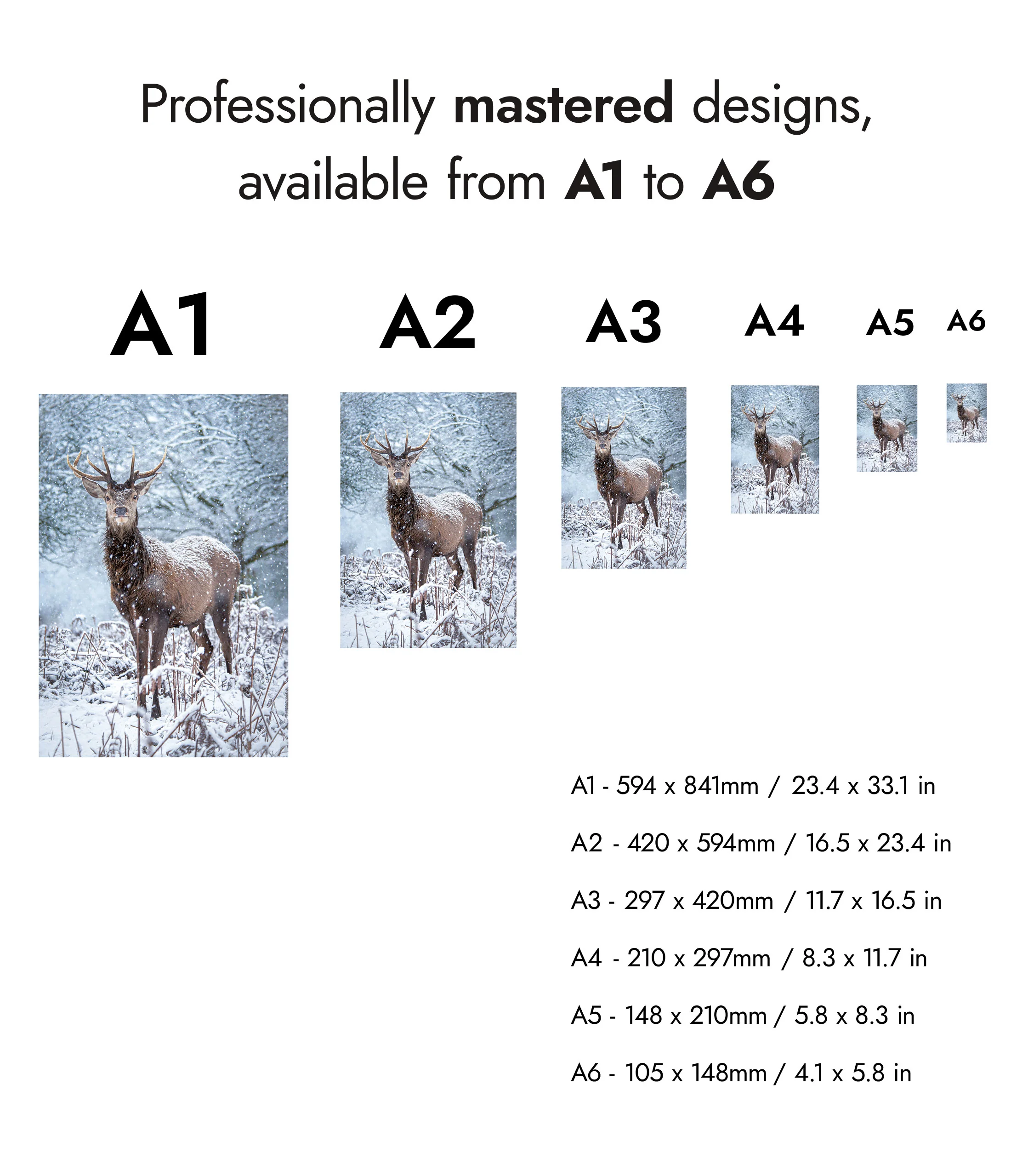 Deer in the Snow - Image 8