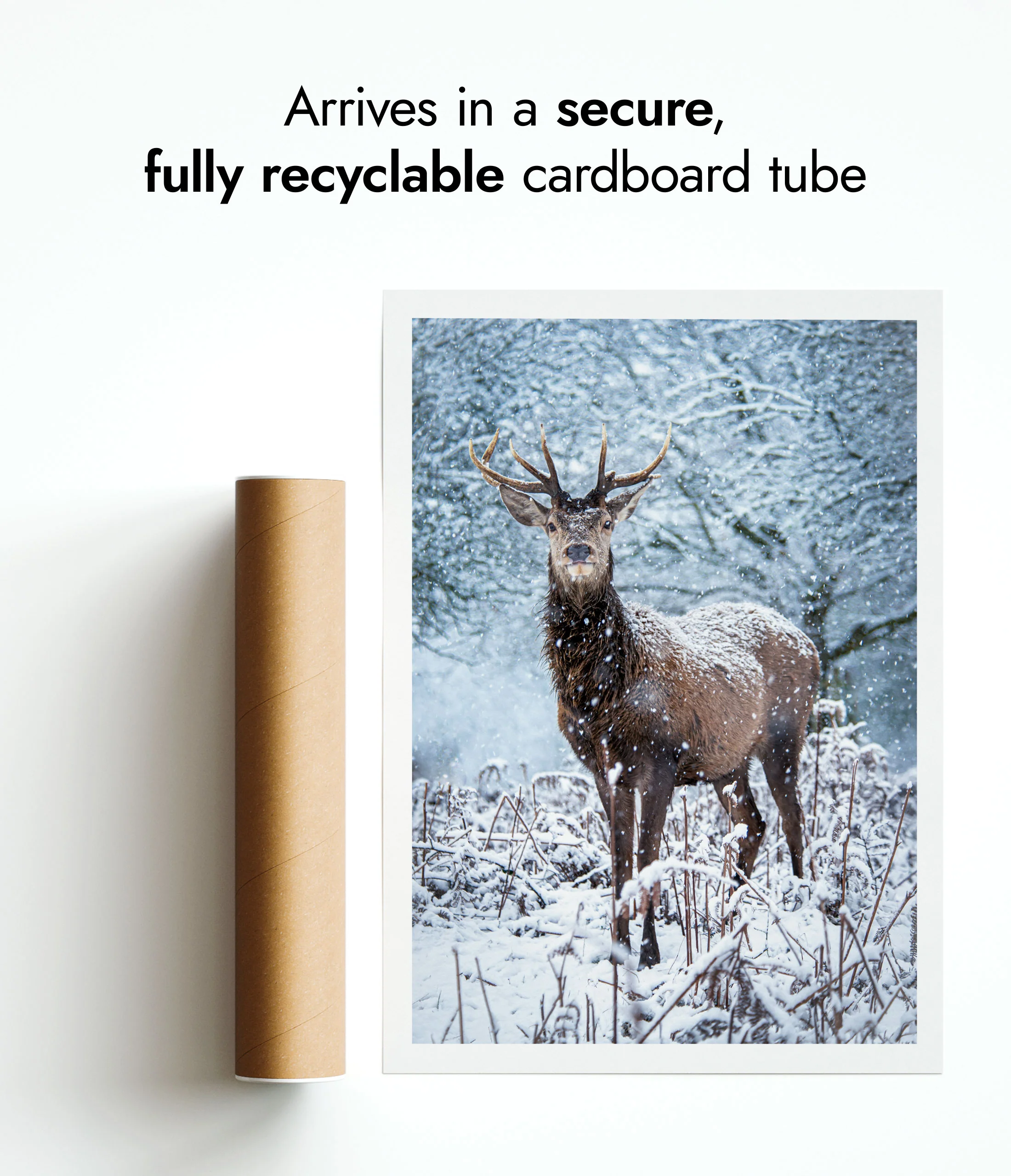 Deer in the Snow - Image 9