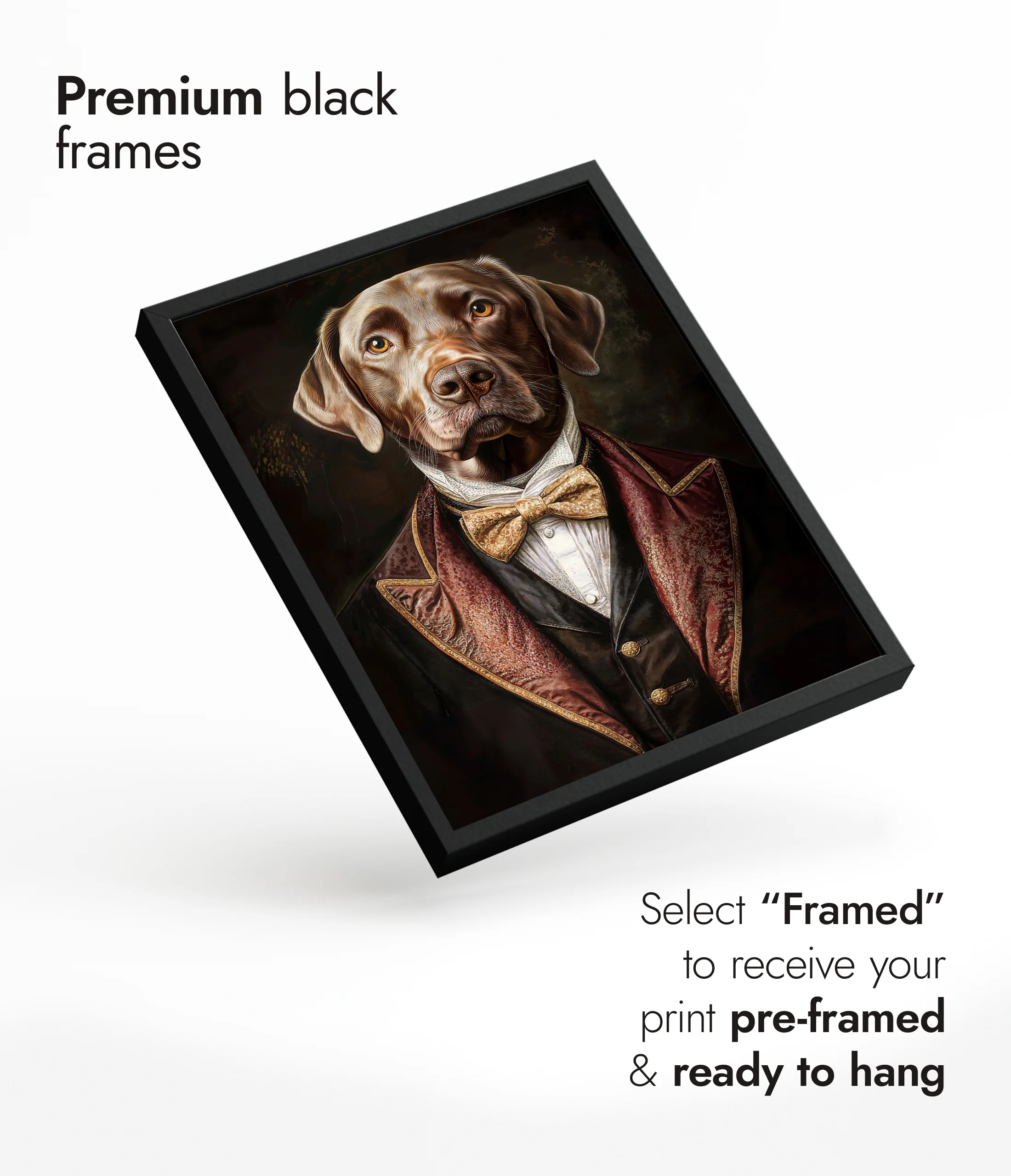Dog - Image 7