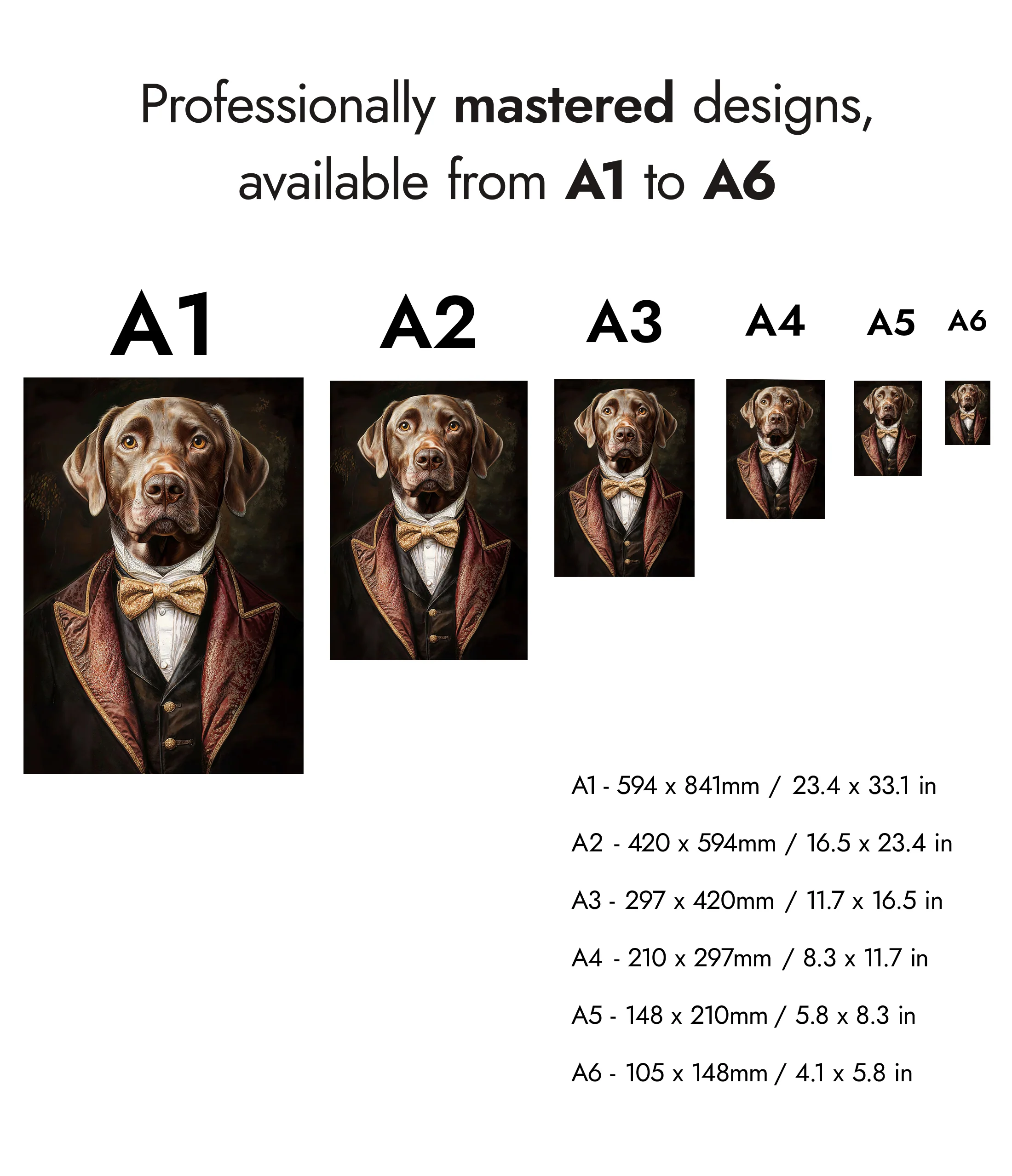 Dog - Image 8