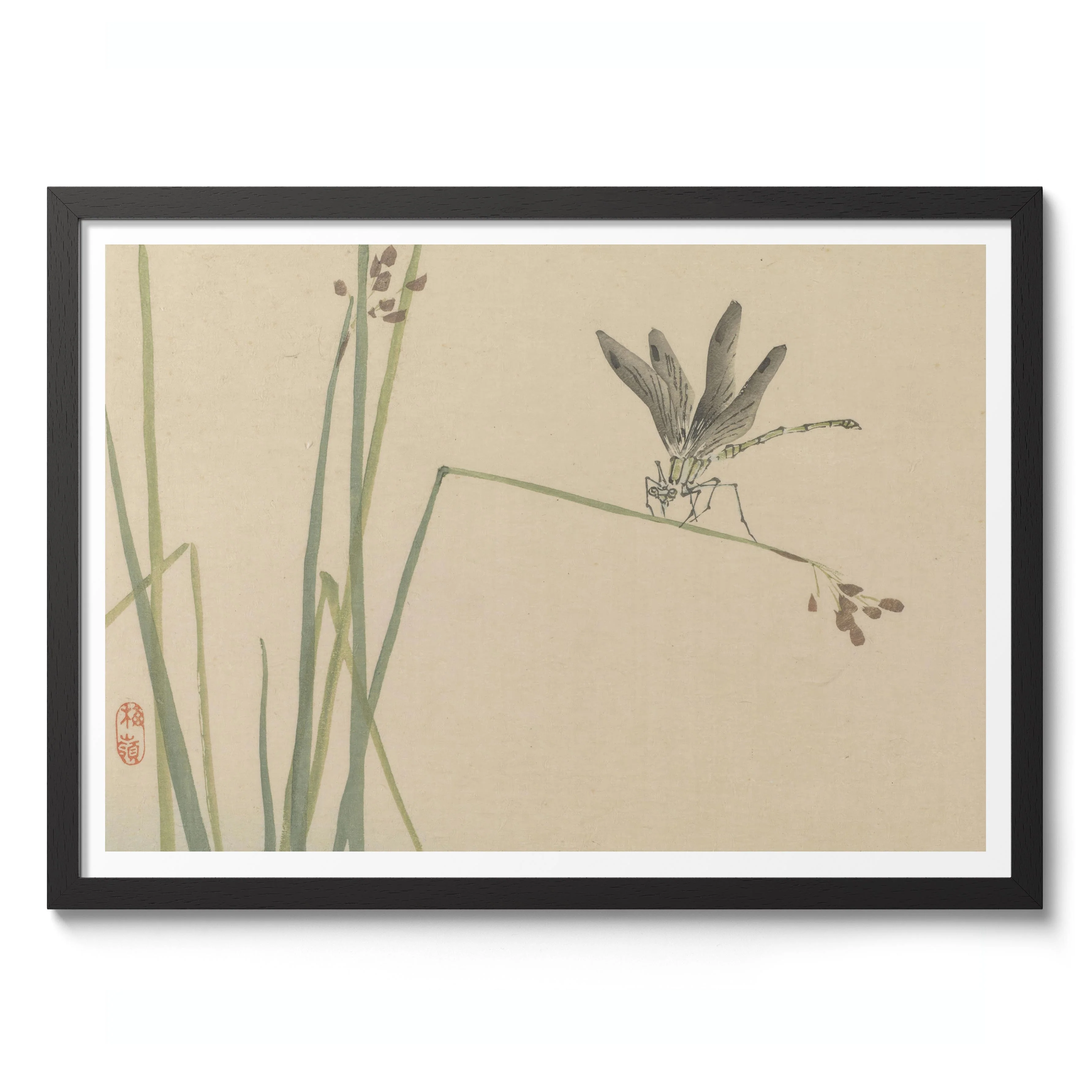 Dragonfly - Image 2