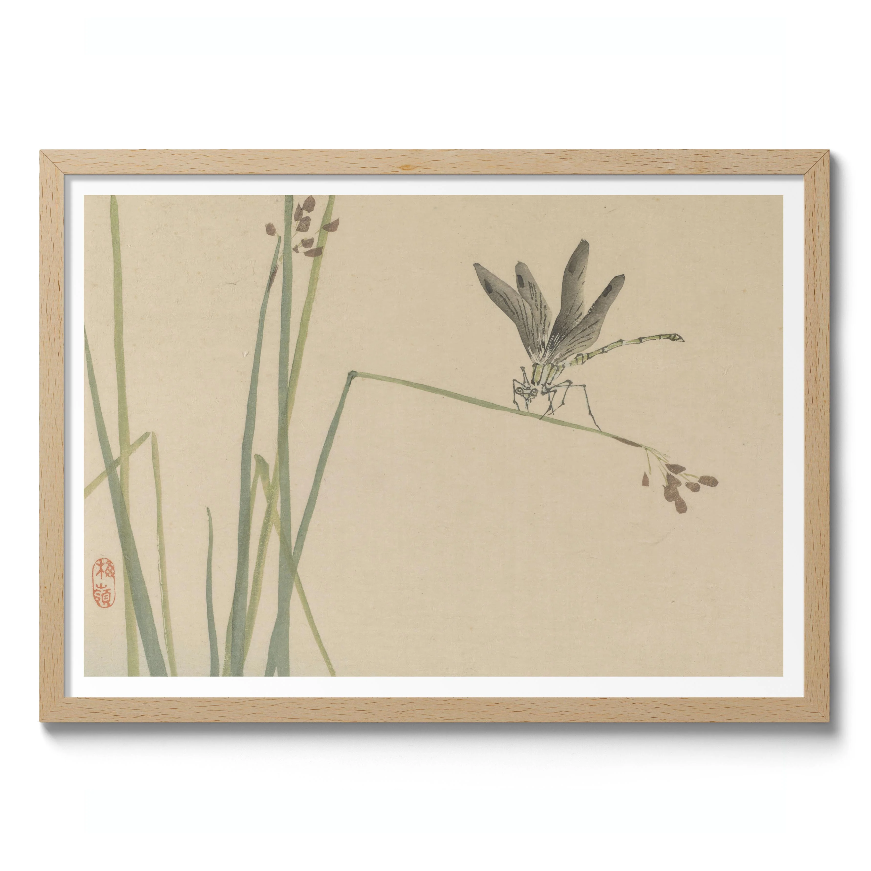 Dragonfly - Image 3