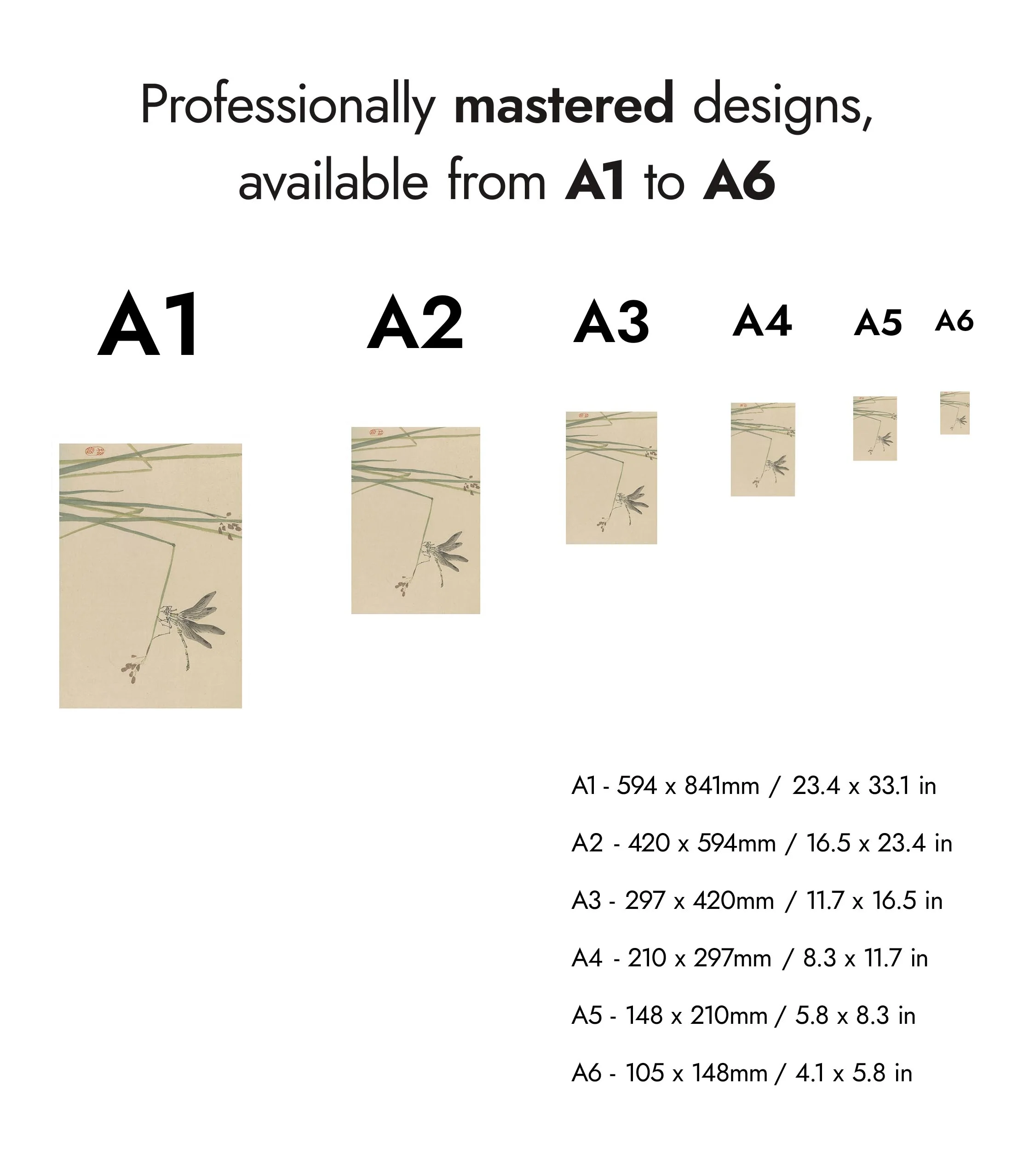 Dragonfly - Image 8