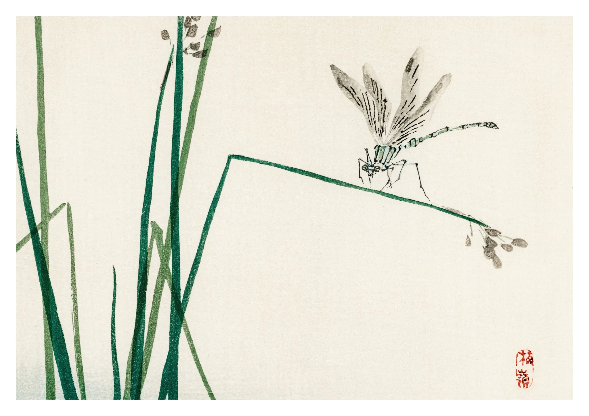 Dragonfly on Bulrush Leaf