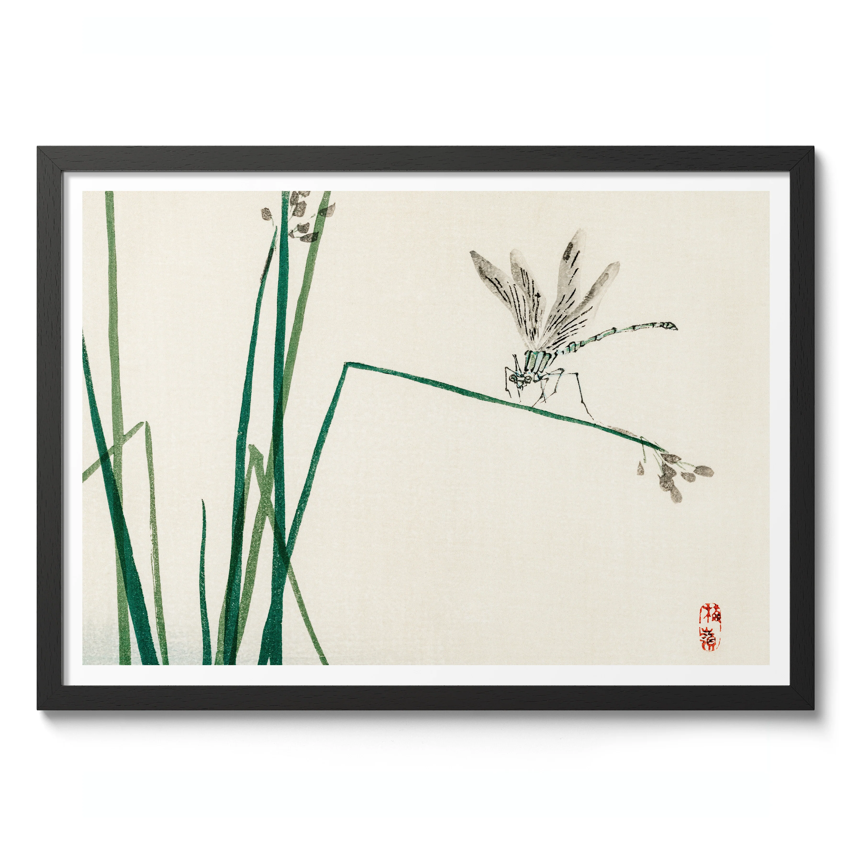 Dragonfly on Bulrush Leaf - Image 2