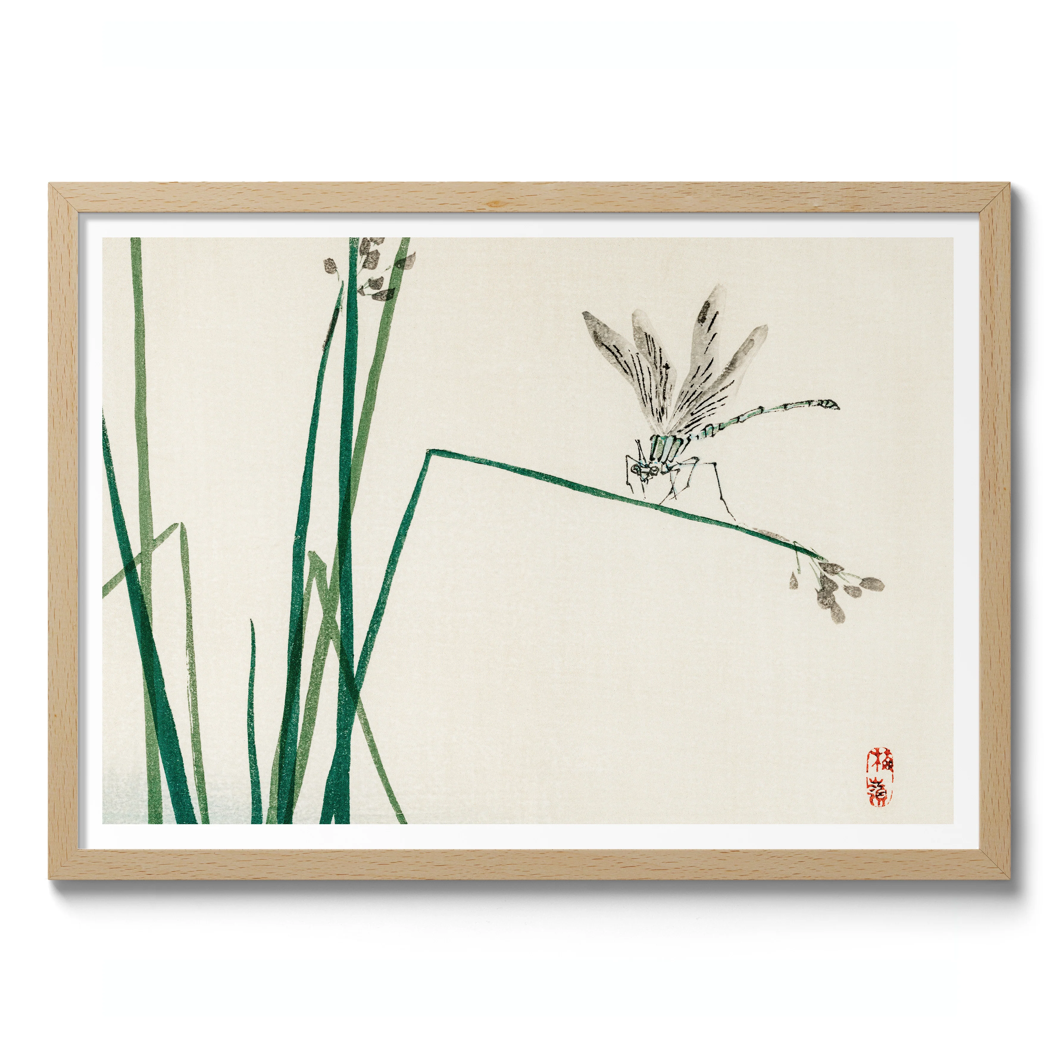 Dragonfly on Bulrush Leaf - Image 3