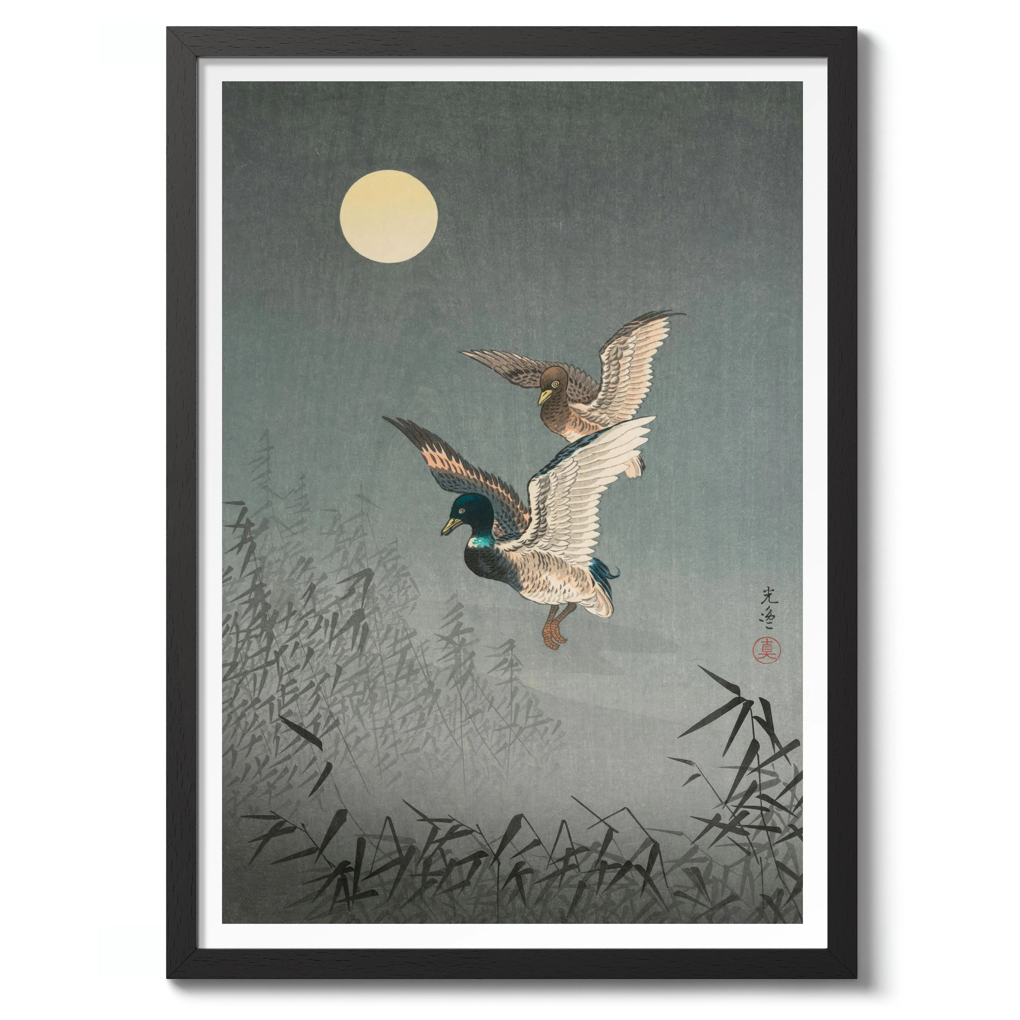 Ducks - Image 2