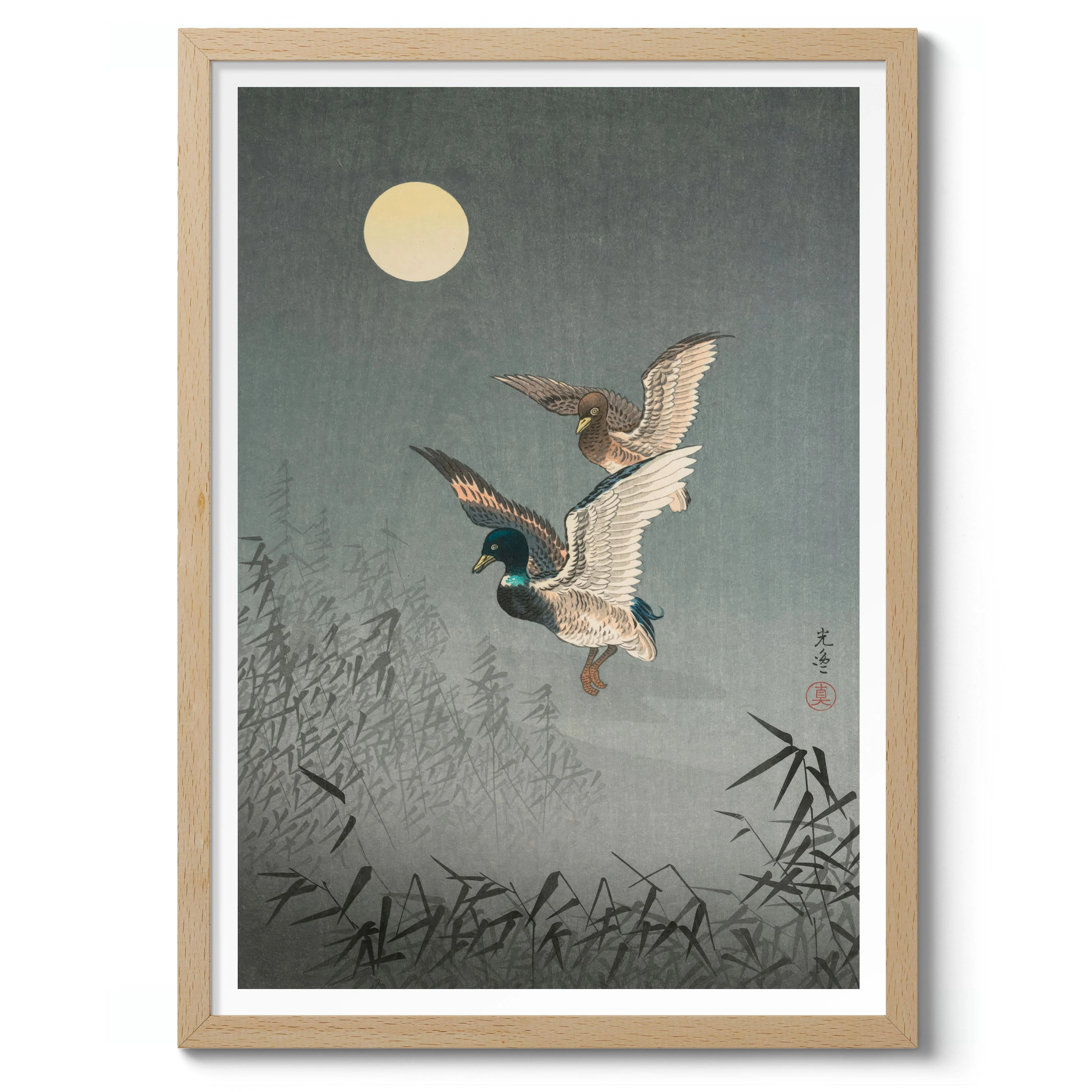 Ducks - Image 3