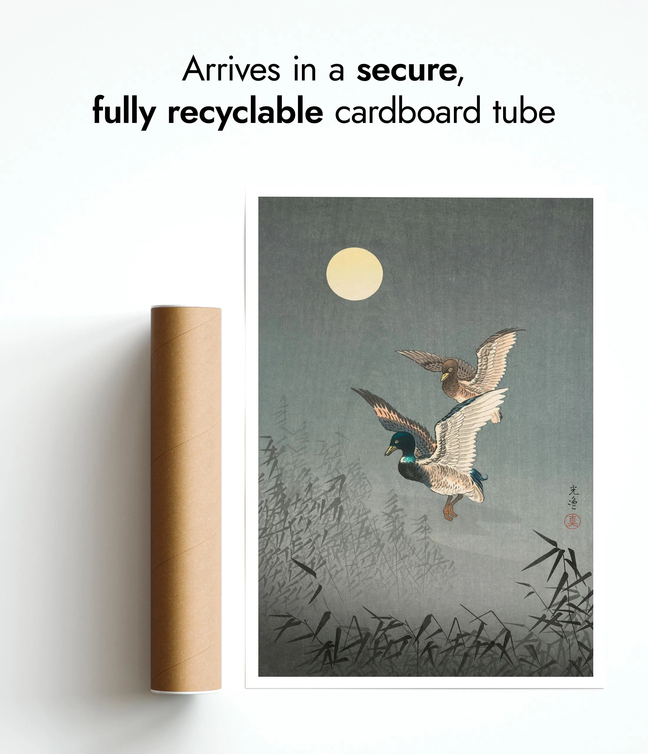Ducks - Image 9