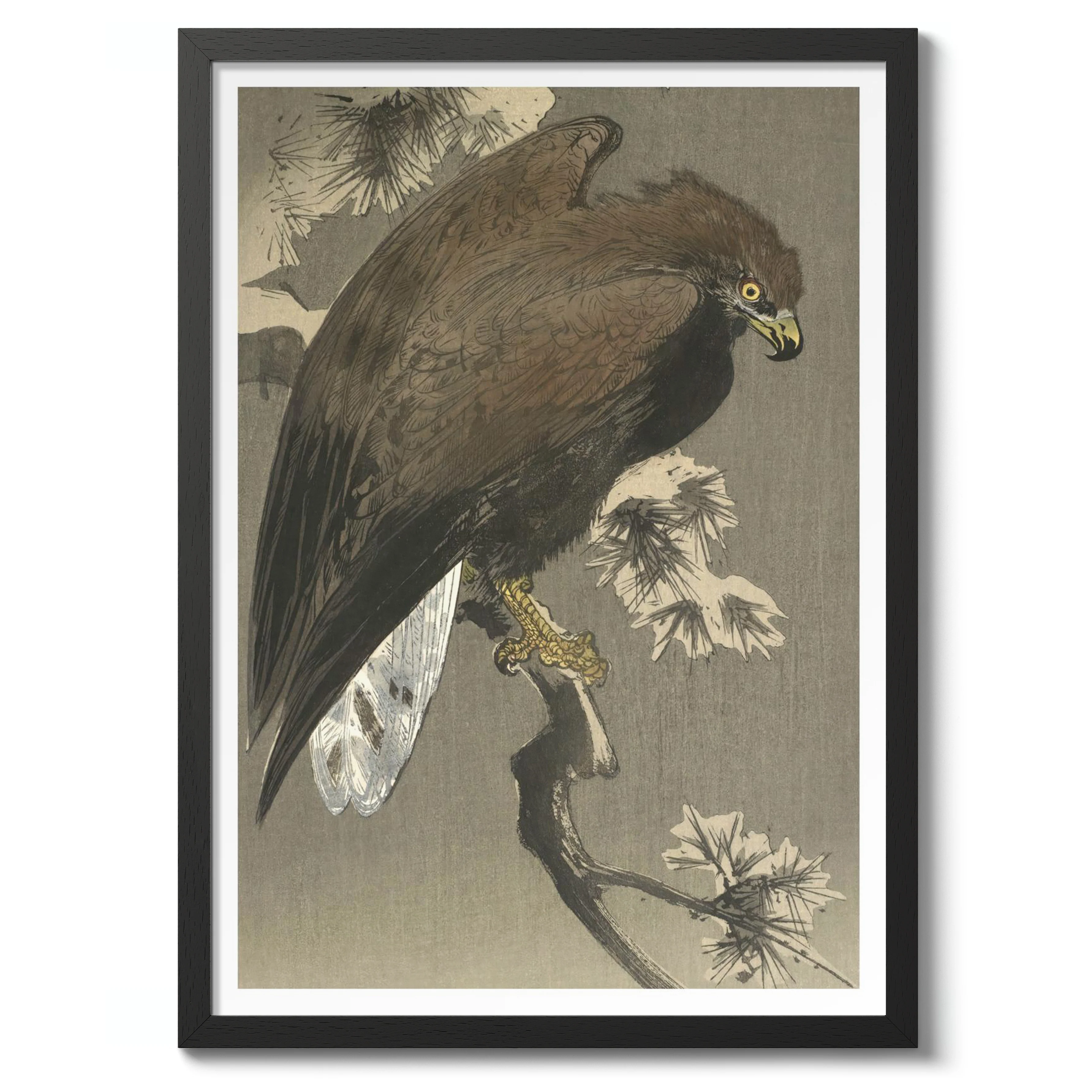 Eagle and Pine - Image 2
