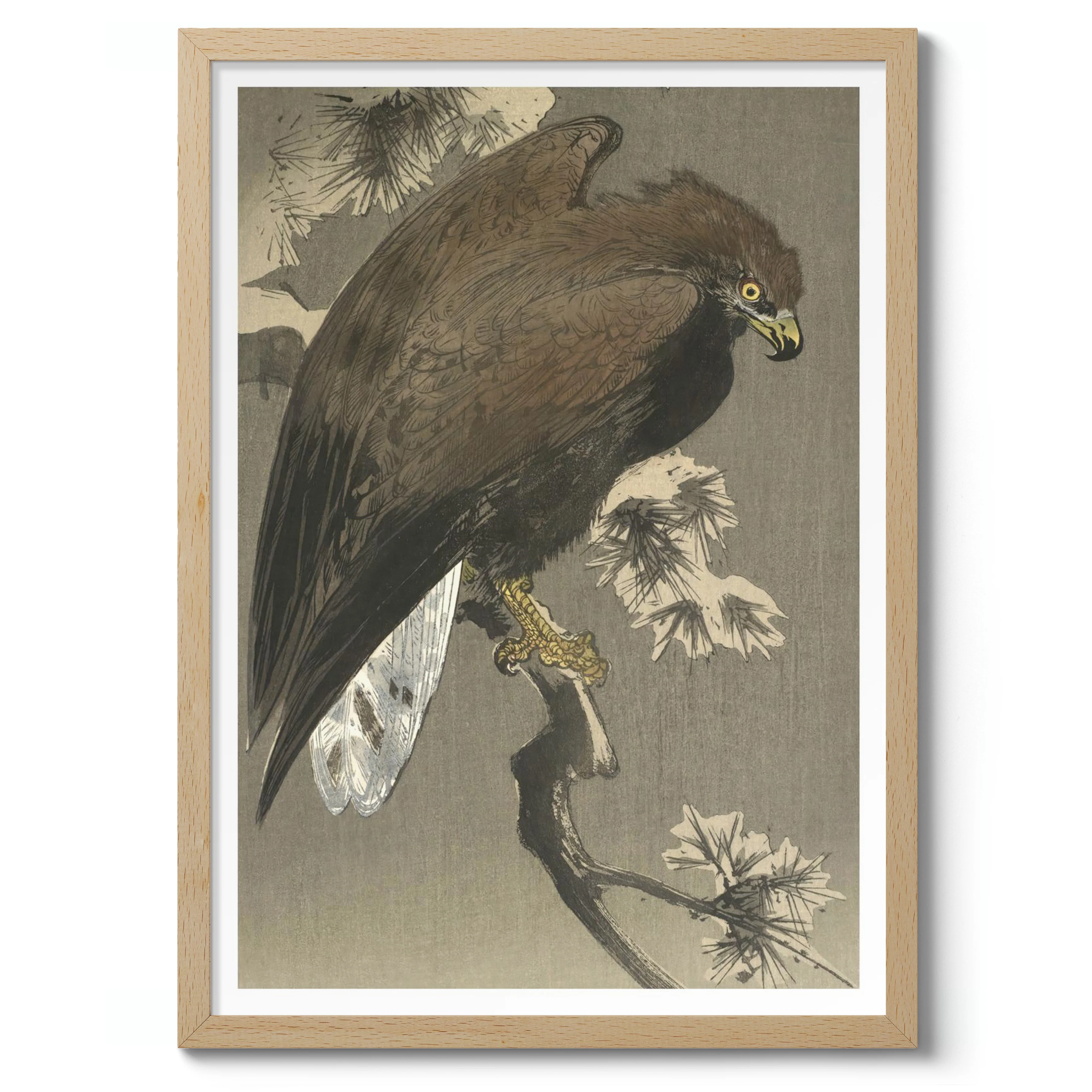 Eagle and Pine - Image 3
