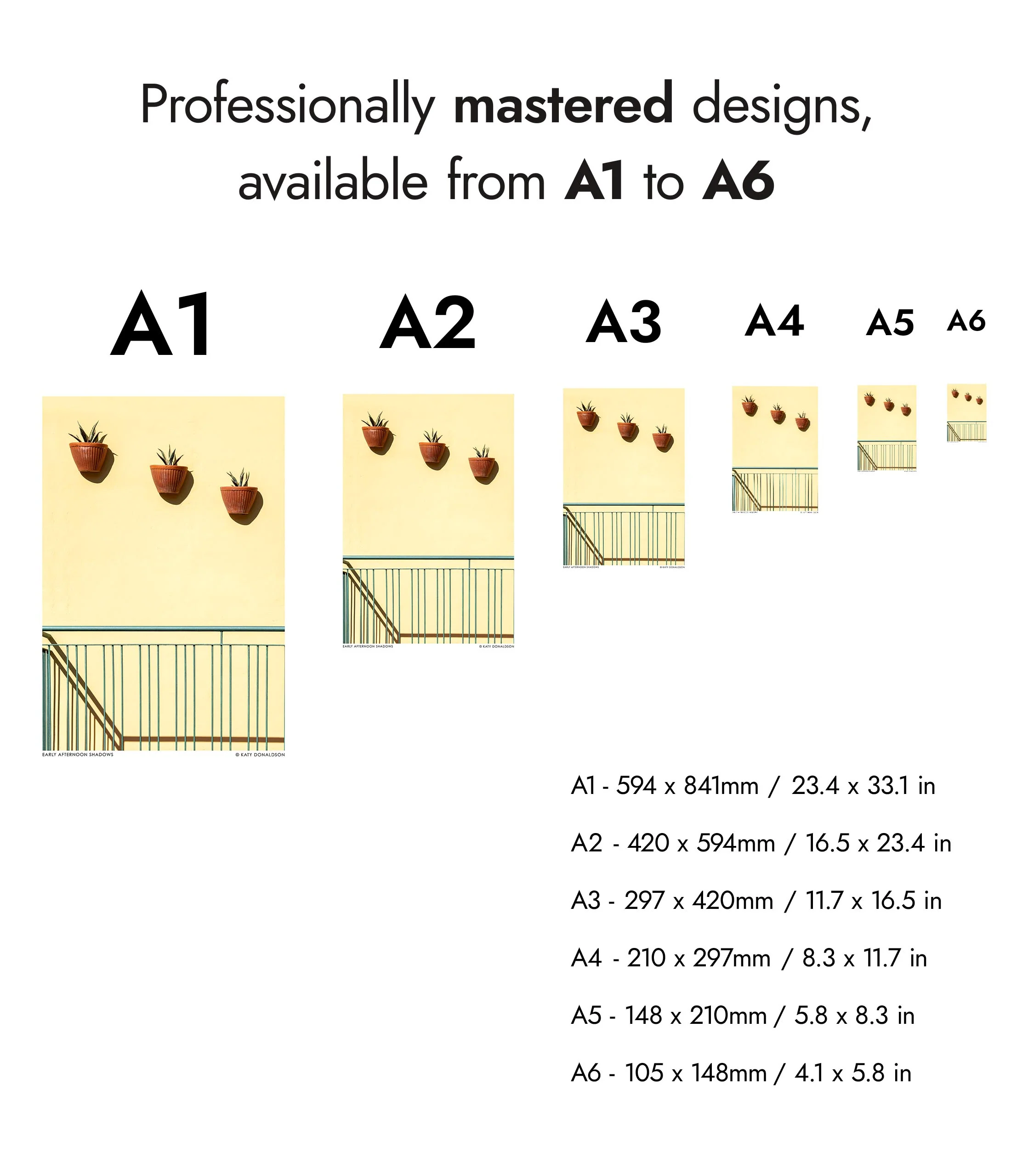 Early Afternoon Shadows - Image 8