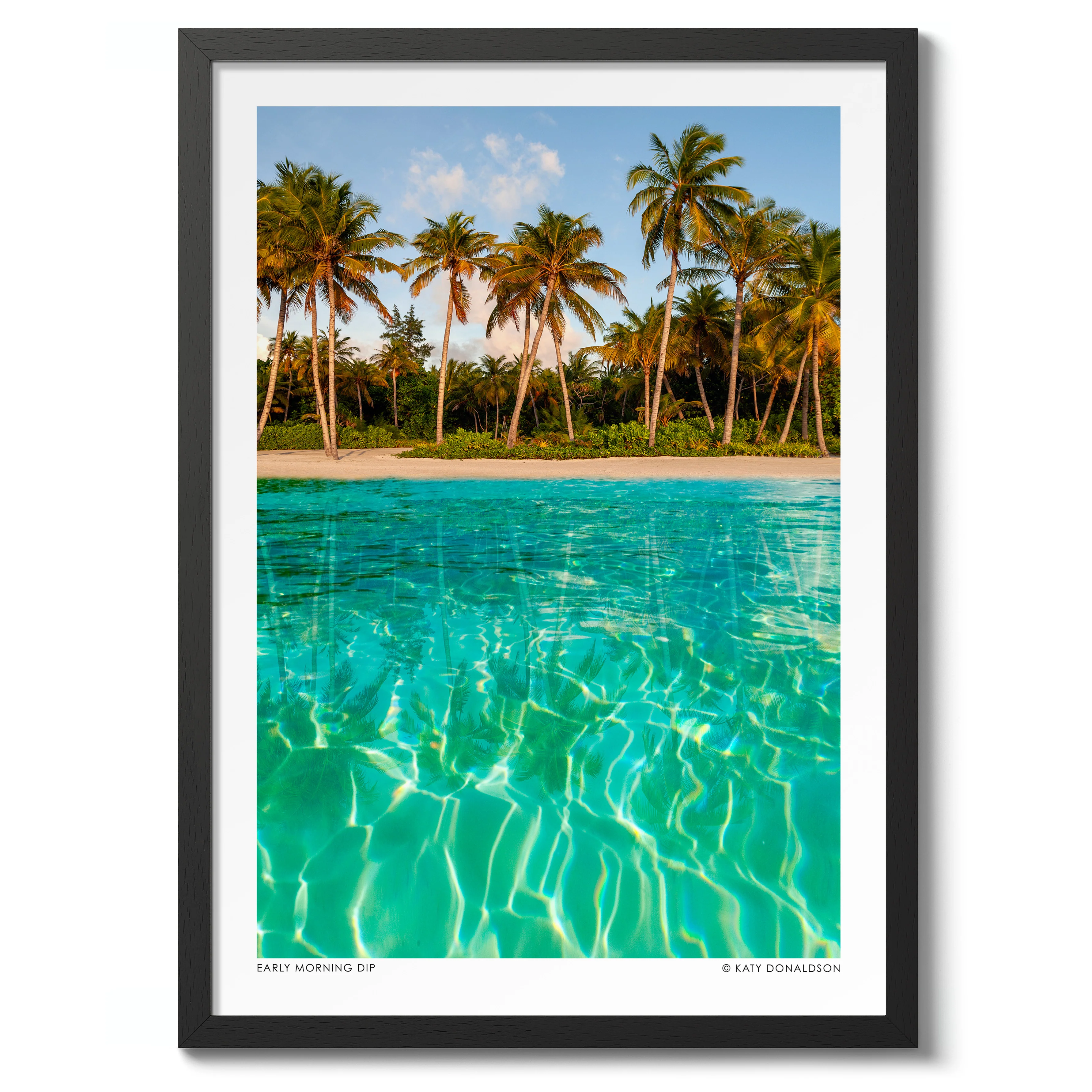 Early Morning Dip - Image 2
