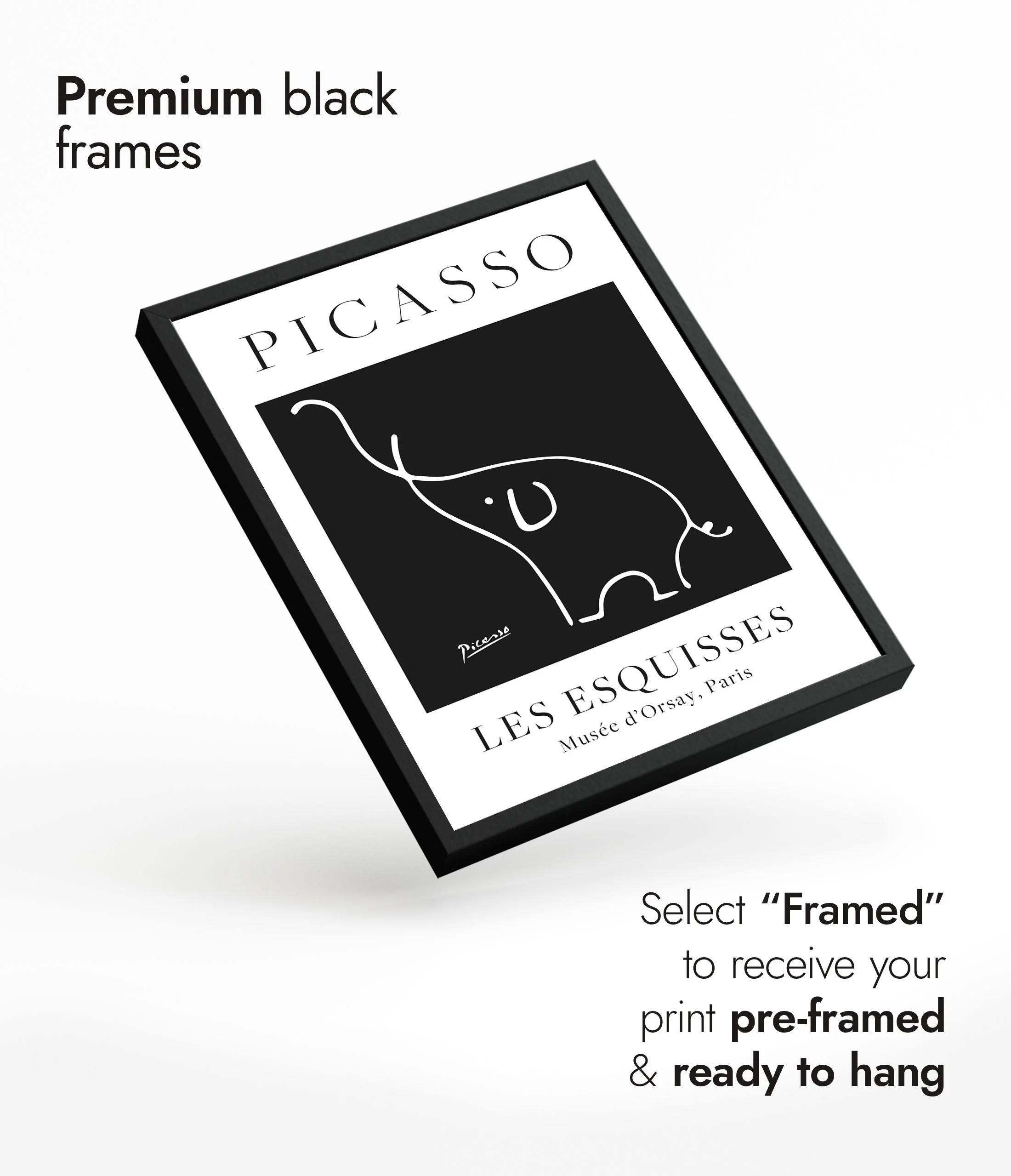 Black Elephant - Image 7
