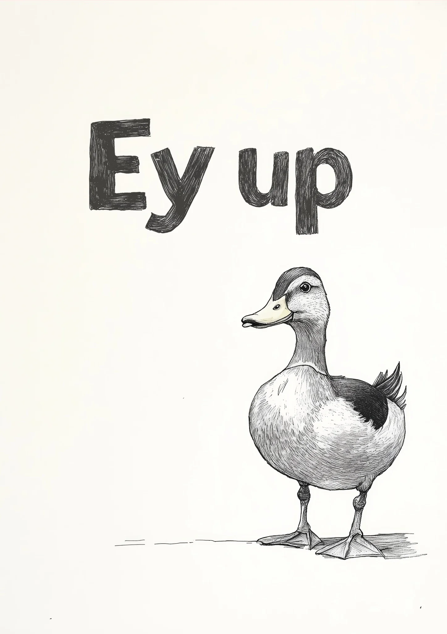 Ey Up Duck