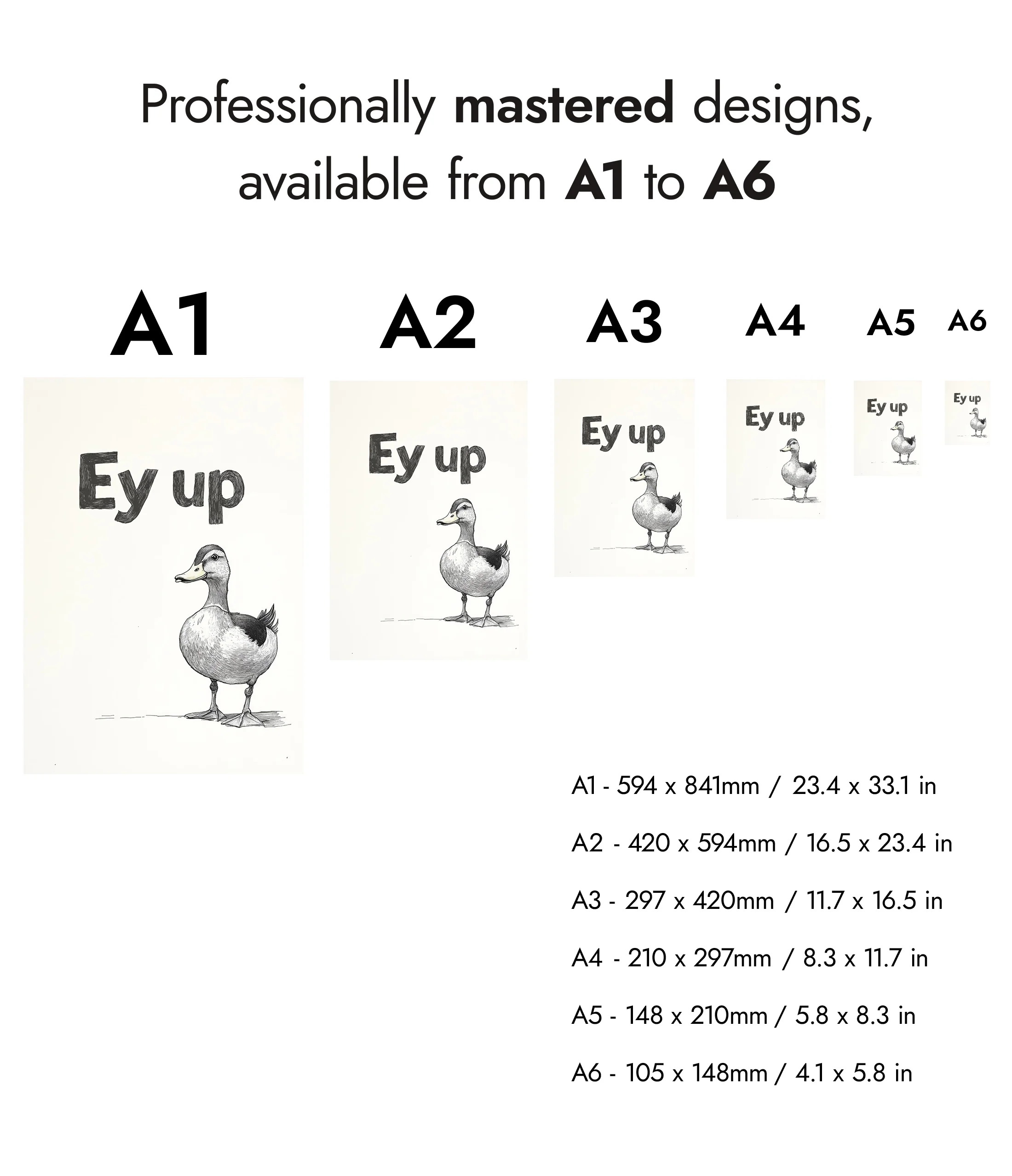 Ey Up Duck - Image 8