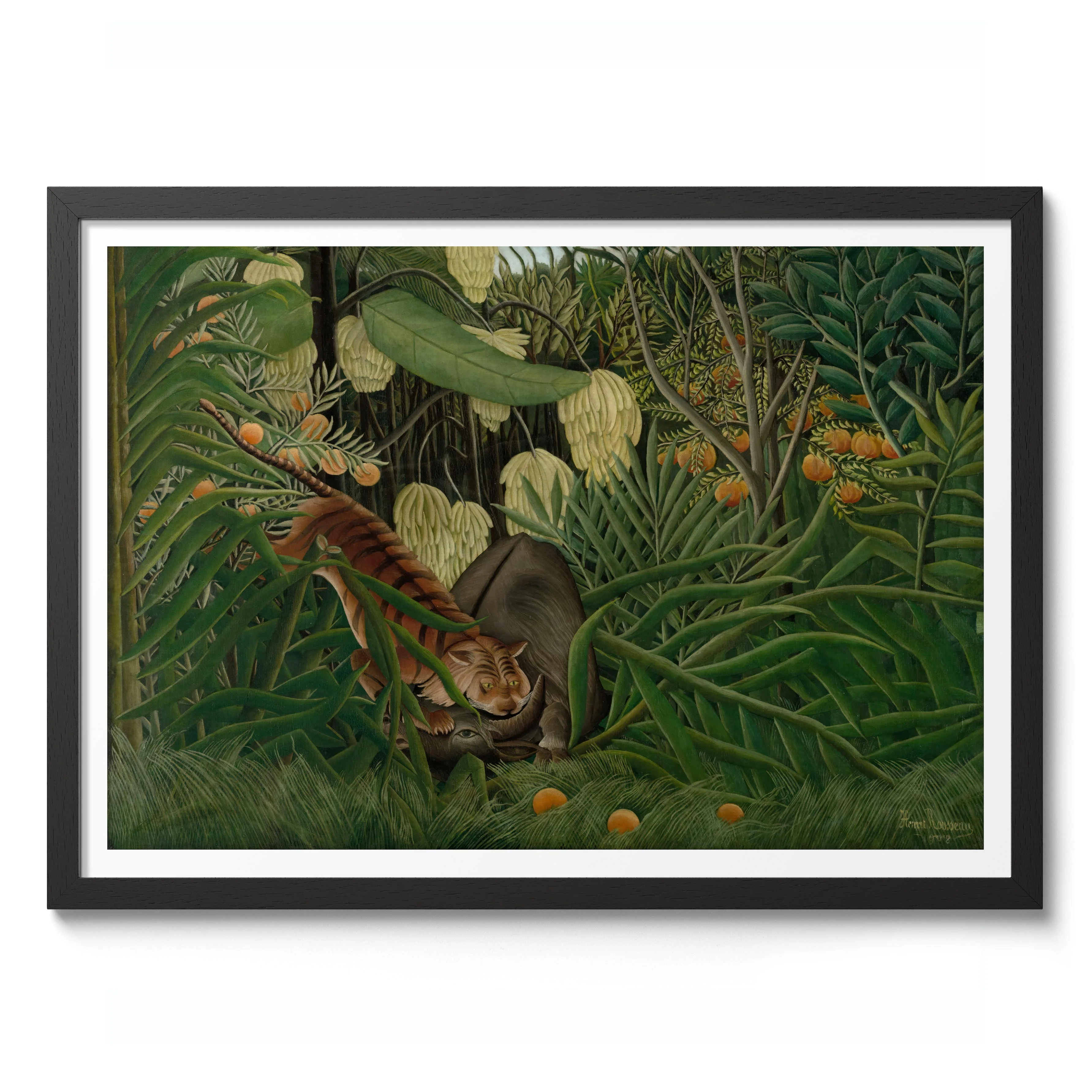 Fight Between a Tiger & a Buffalo - Image 2