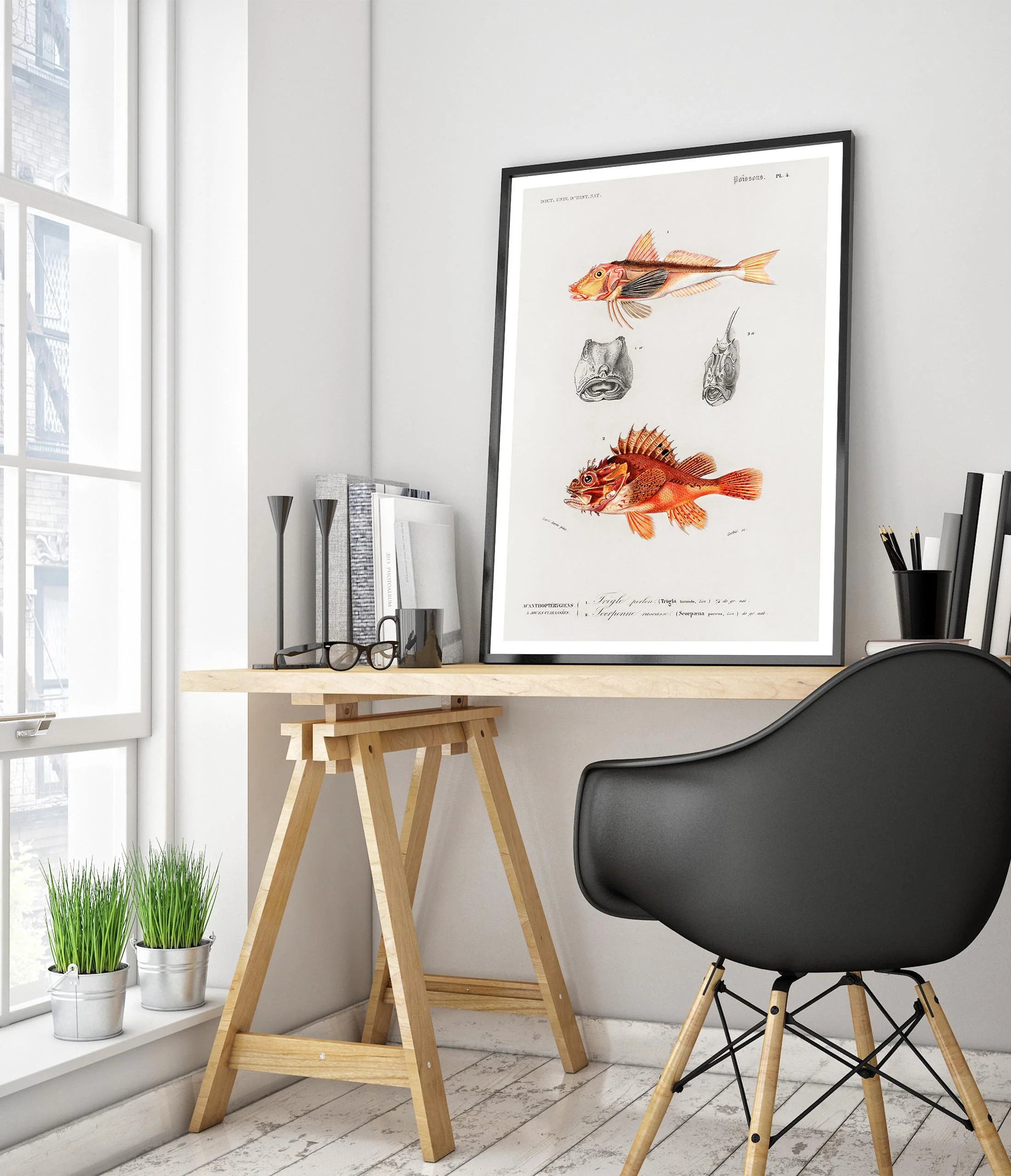 Fish - Image 5