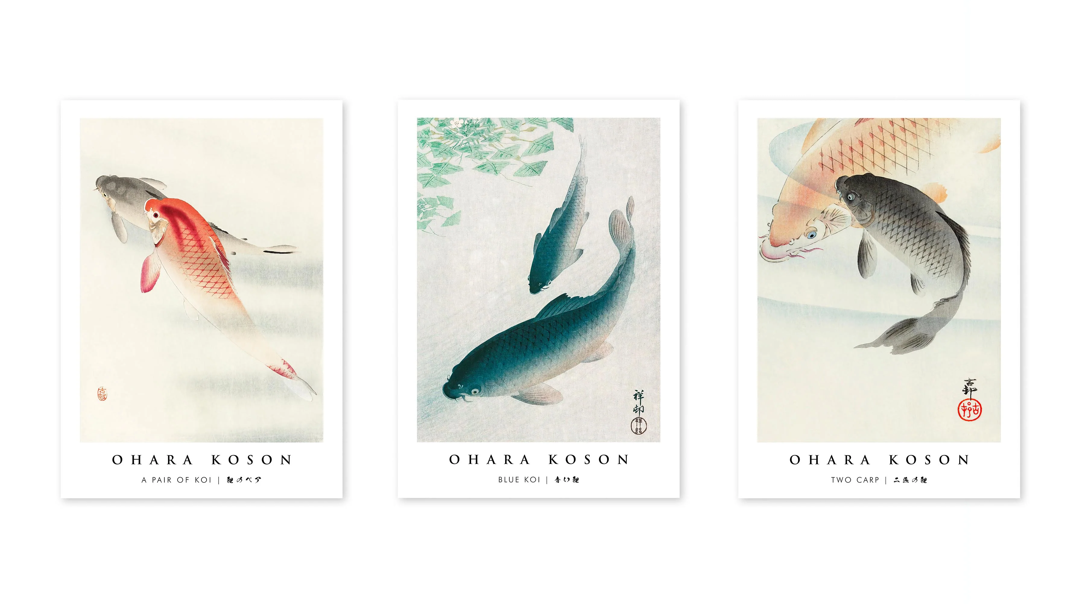 Fish - Image 3