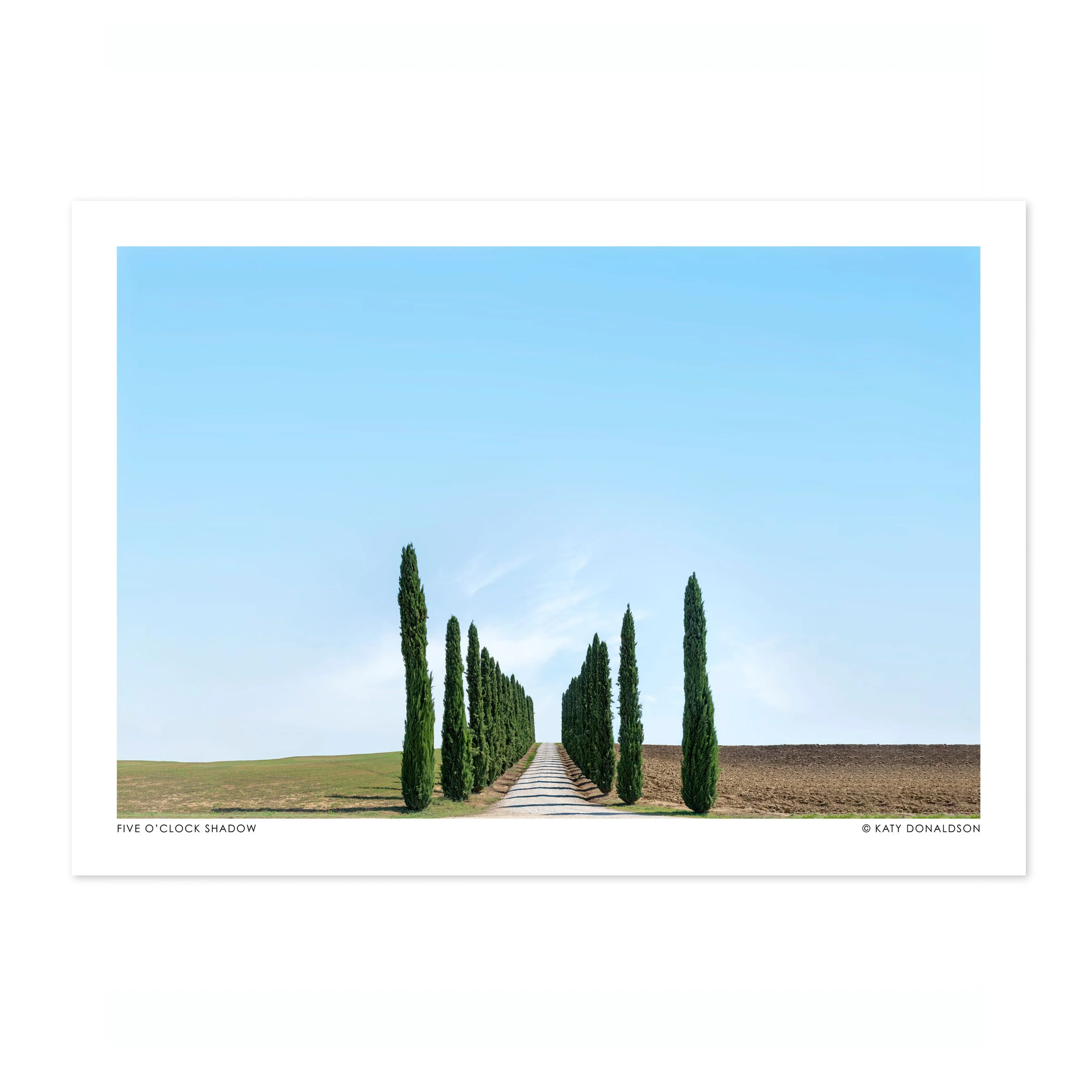 Five O'Clock Shadow Landscape - Image 4