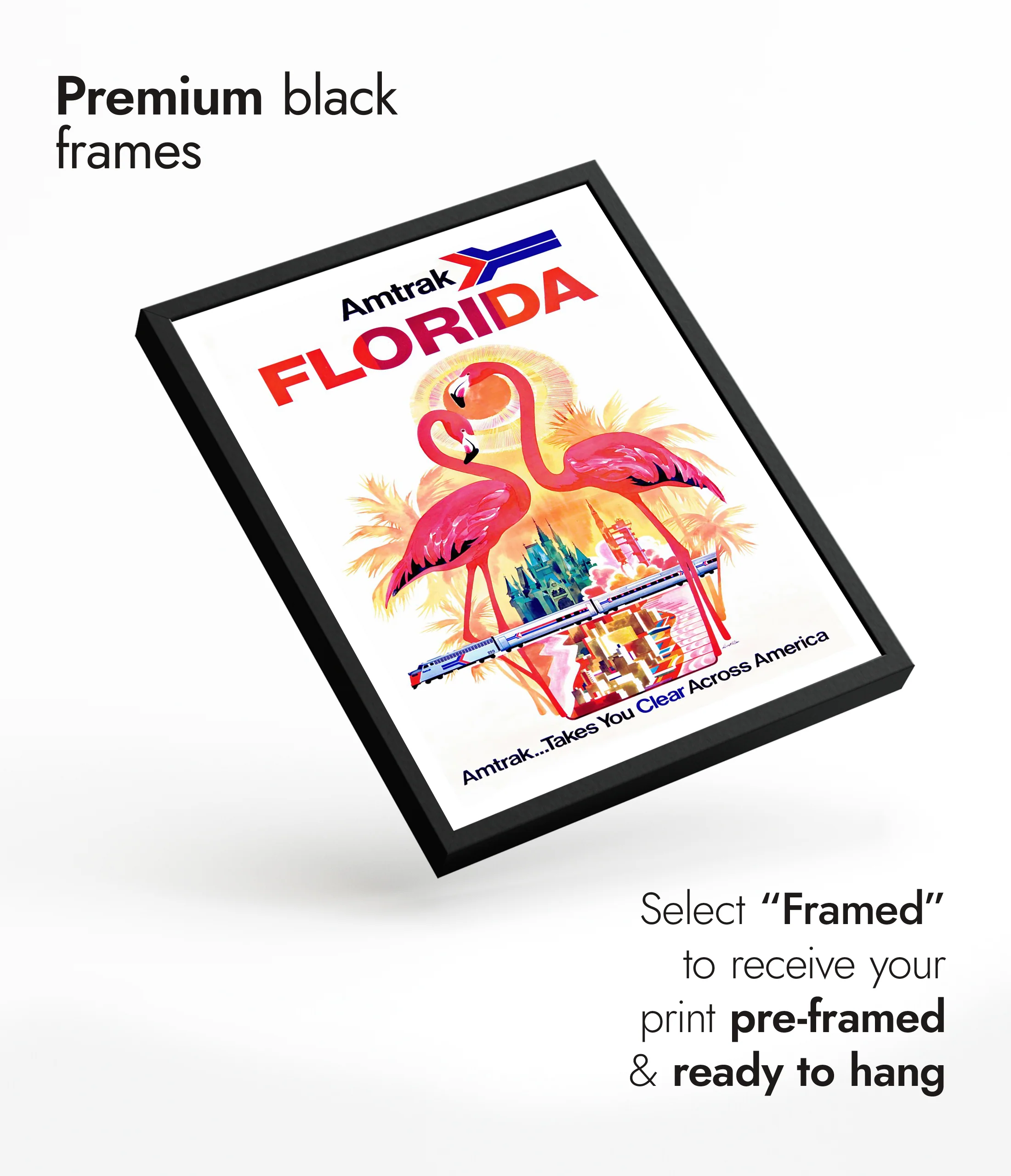 Florida by Train - Image 7
