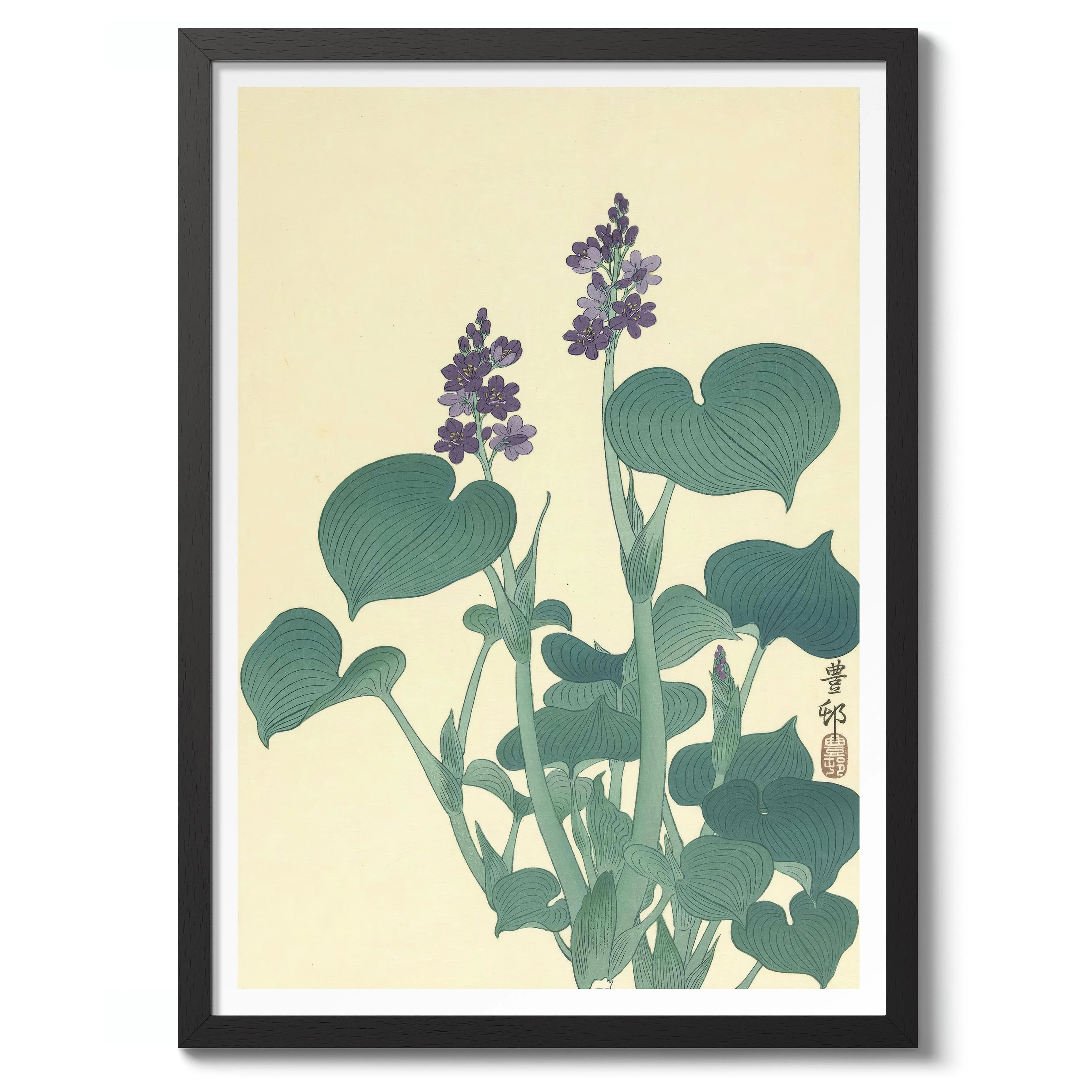 Flowering Hosta - Image 2