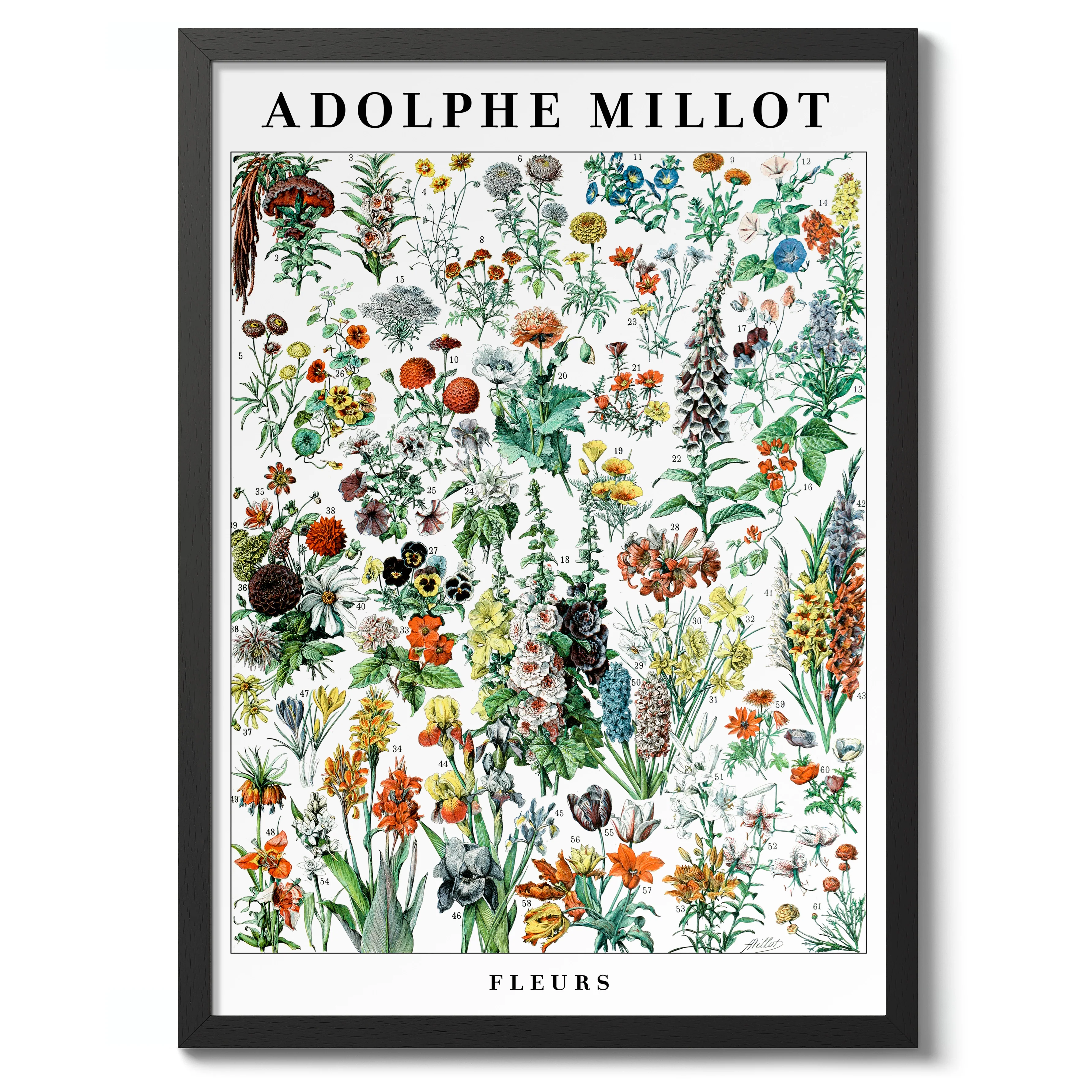 Flowers - Image 2