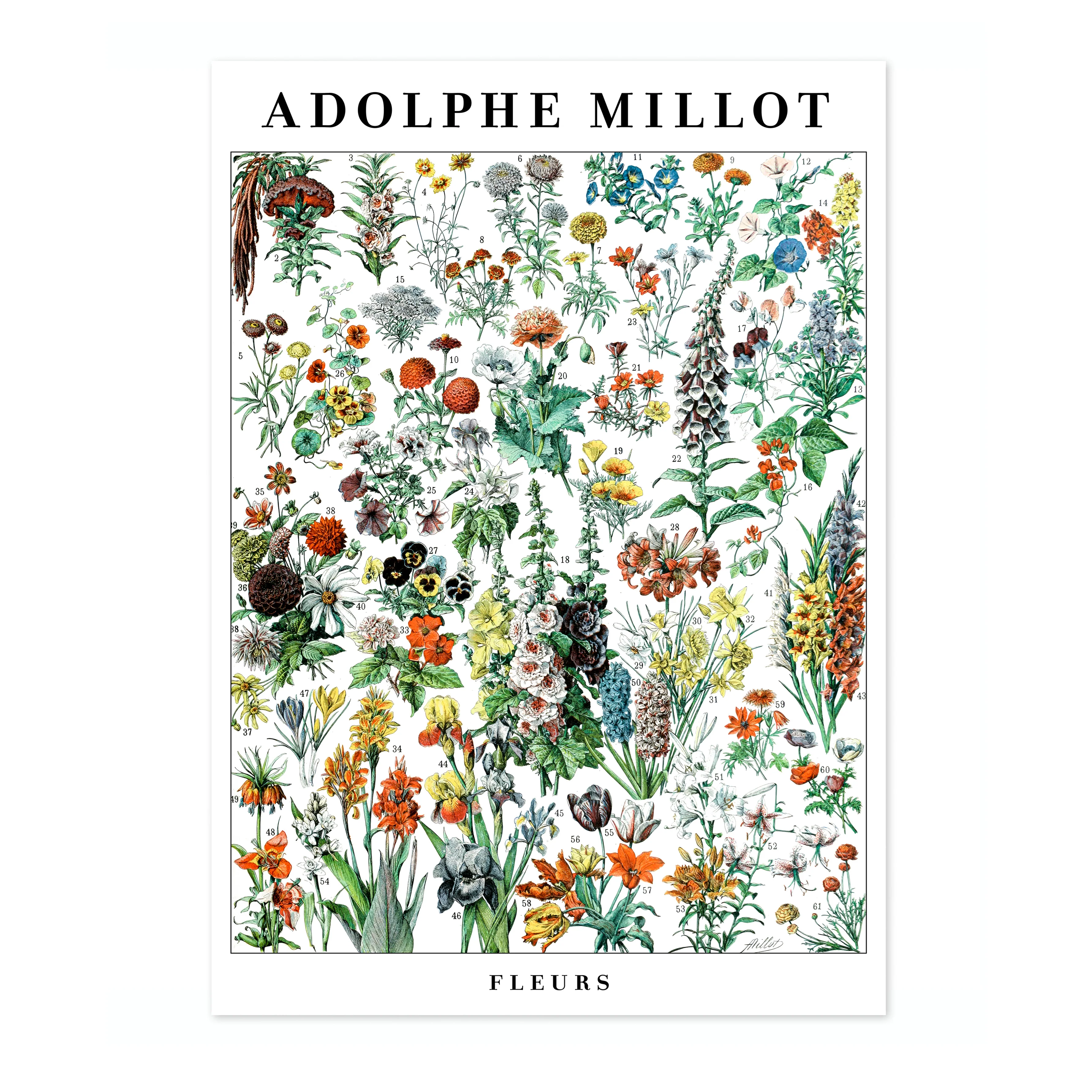 Flowers - Image 4